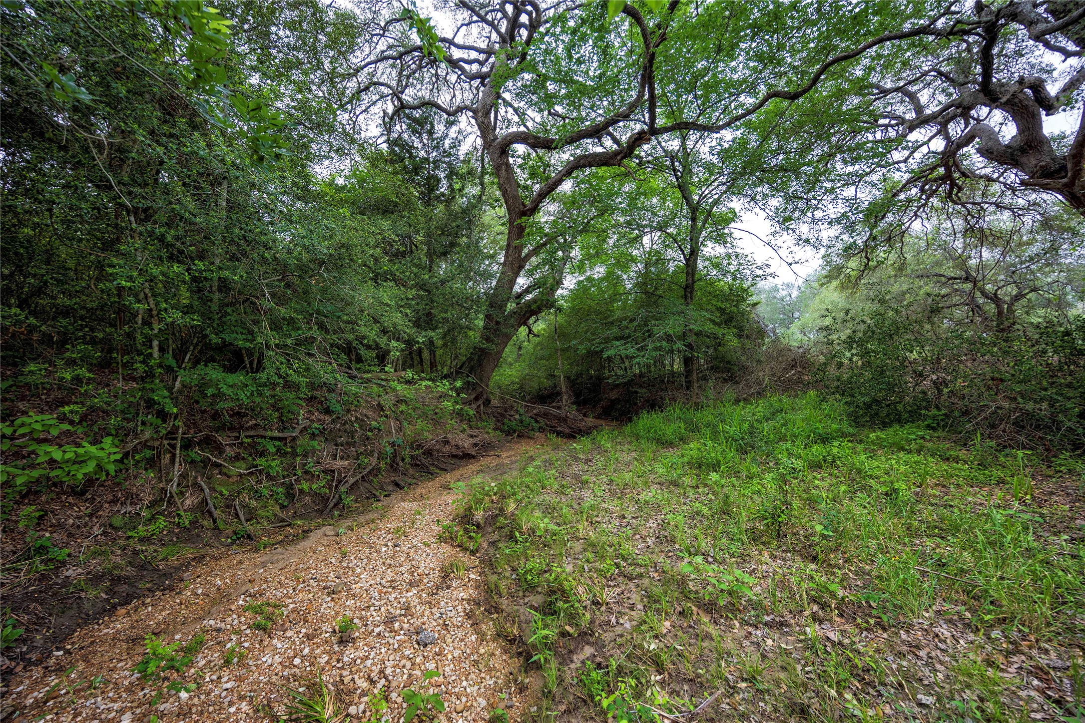 2570 Burke Road Property Photo 7