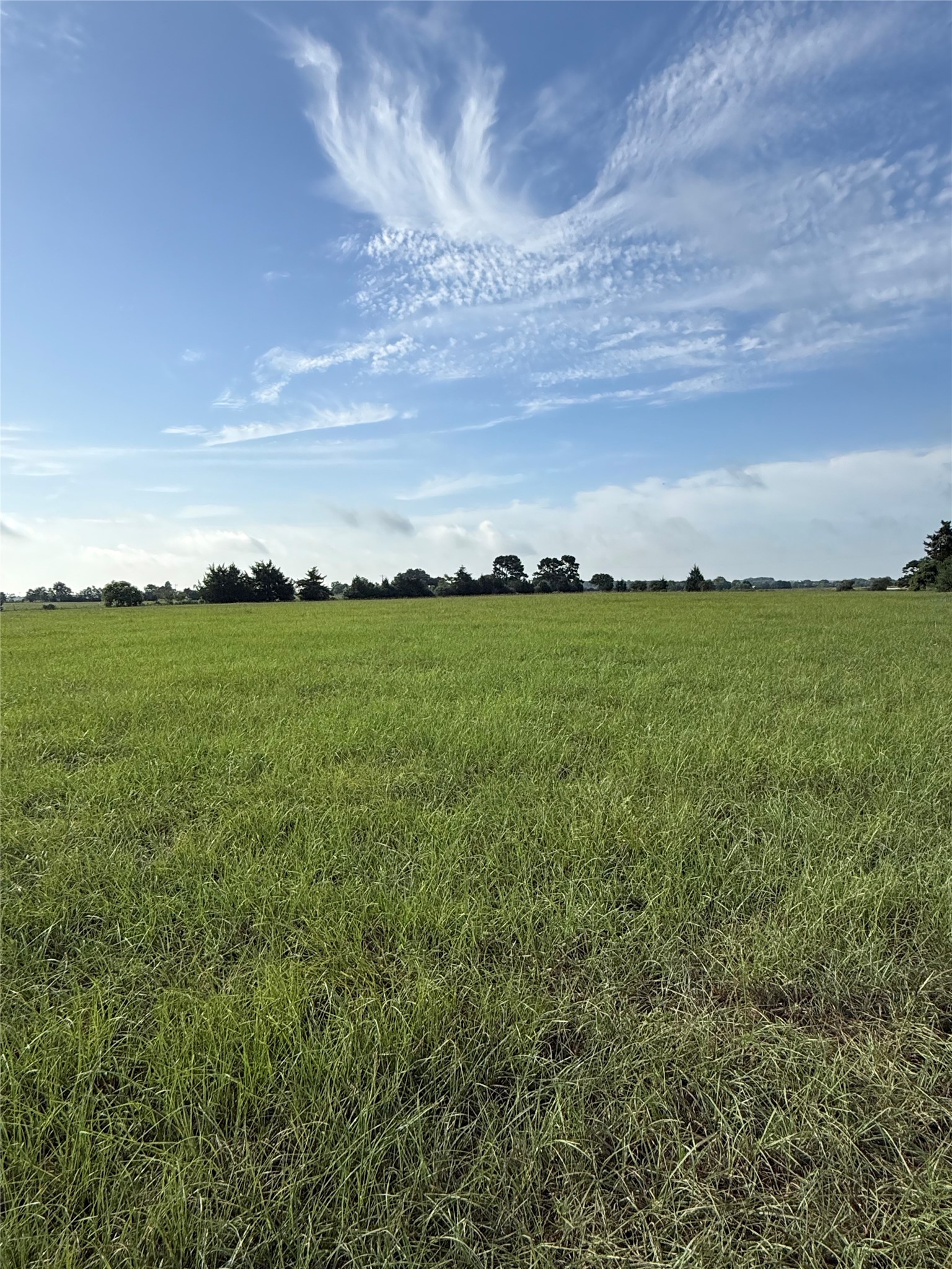 Tr. 1 Reitz Quinn Road Property Photo 3
