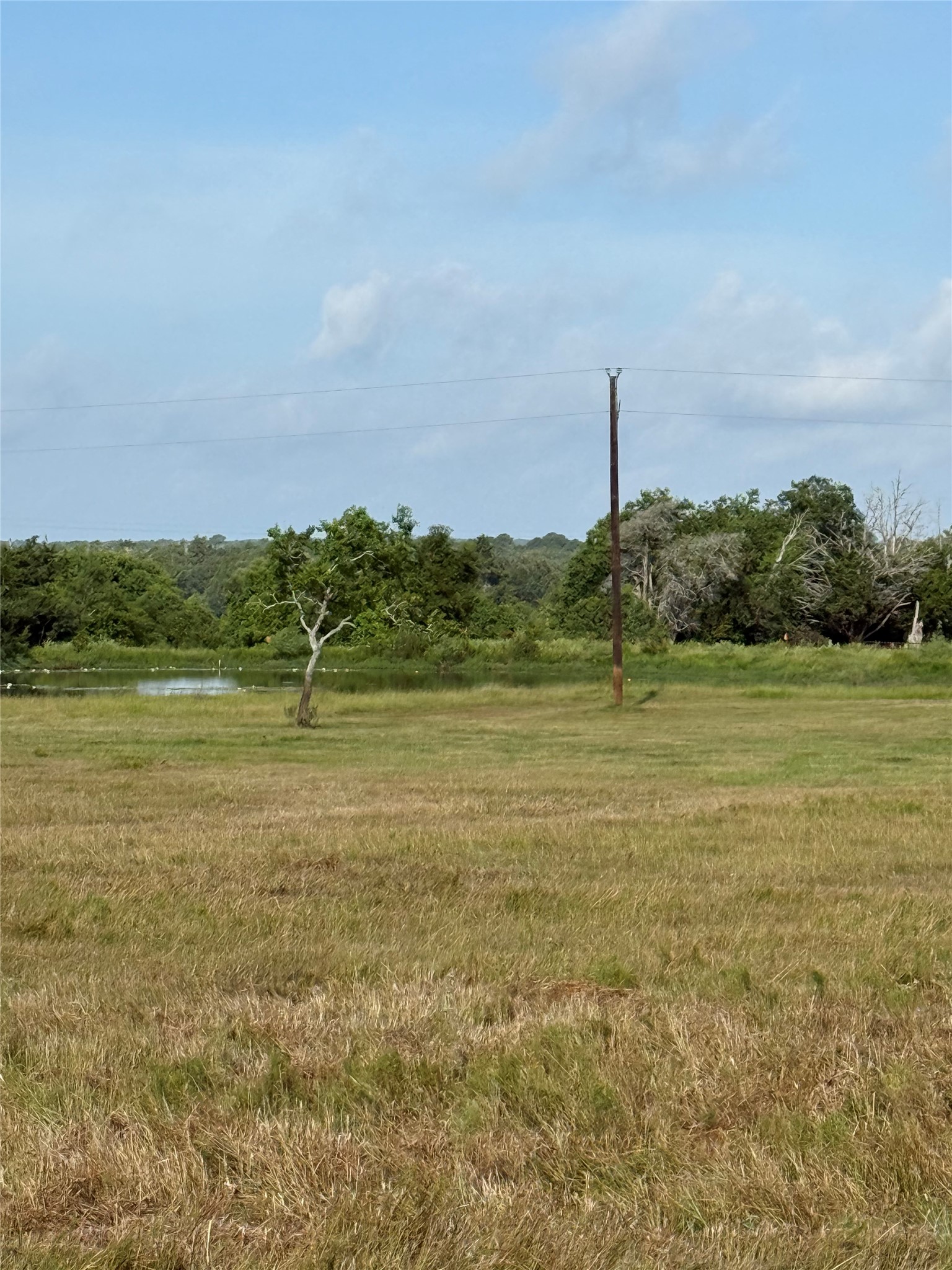 Tr. 1 Reitz Quinn Road Property Photo 7