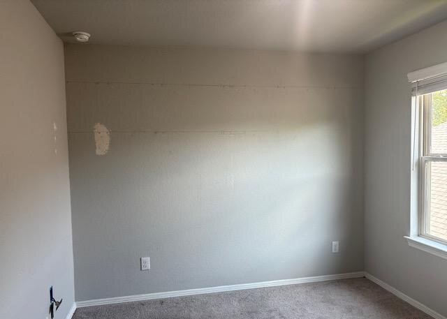223 Elianne Lace Court Property Photo 17