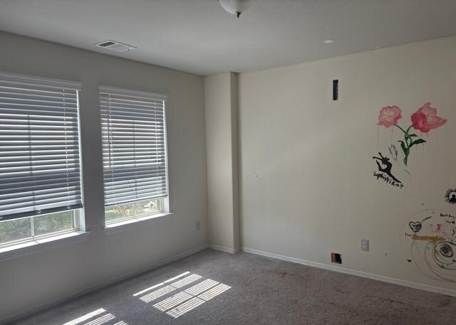 223 Elianne Lace Court Property Photo 20