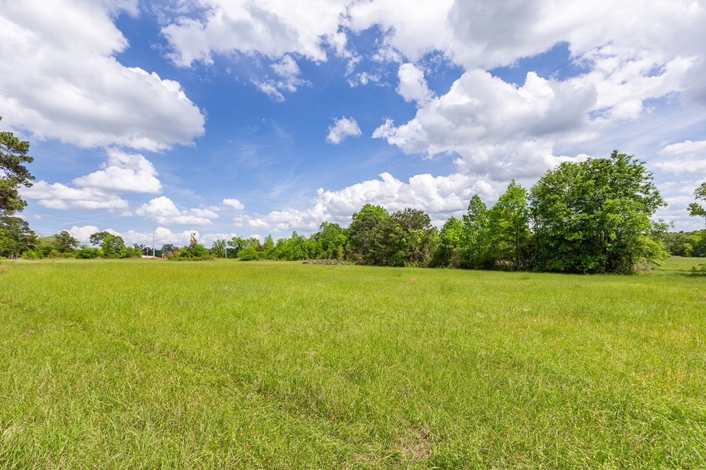 247 Mccarty Road Property Photo 3