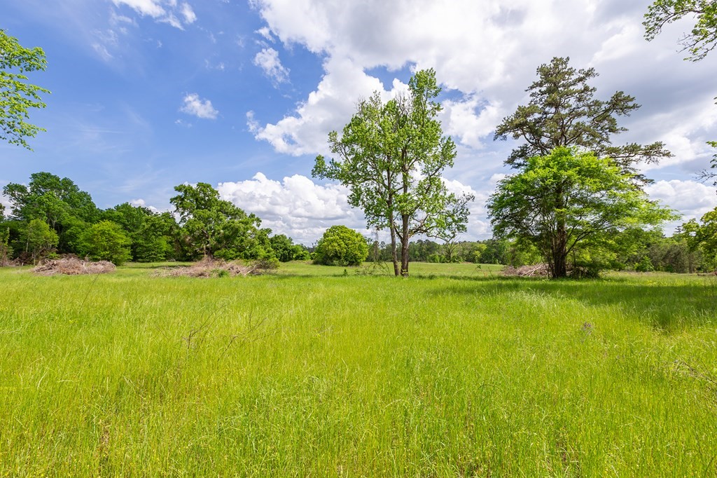 247 Mccarty Road Property Photo 4