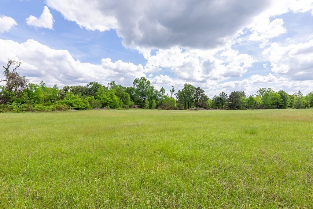 247 Mccarty Road Property Photo 5