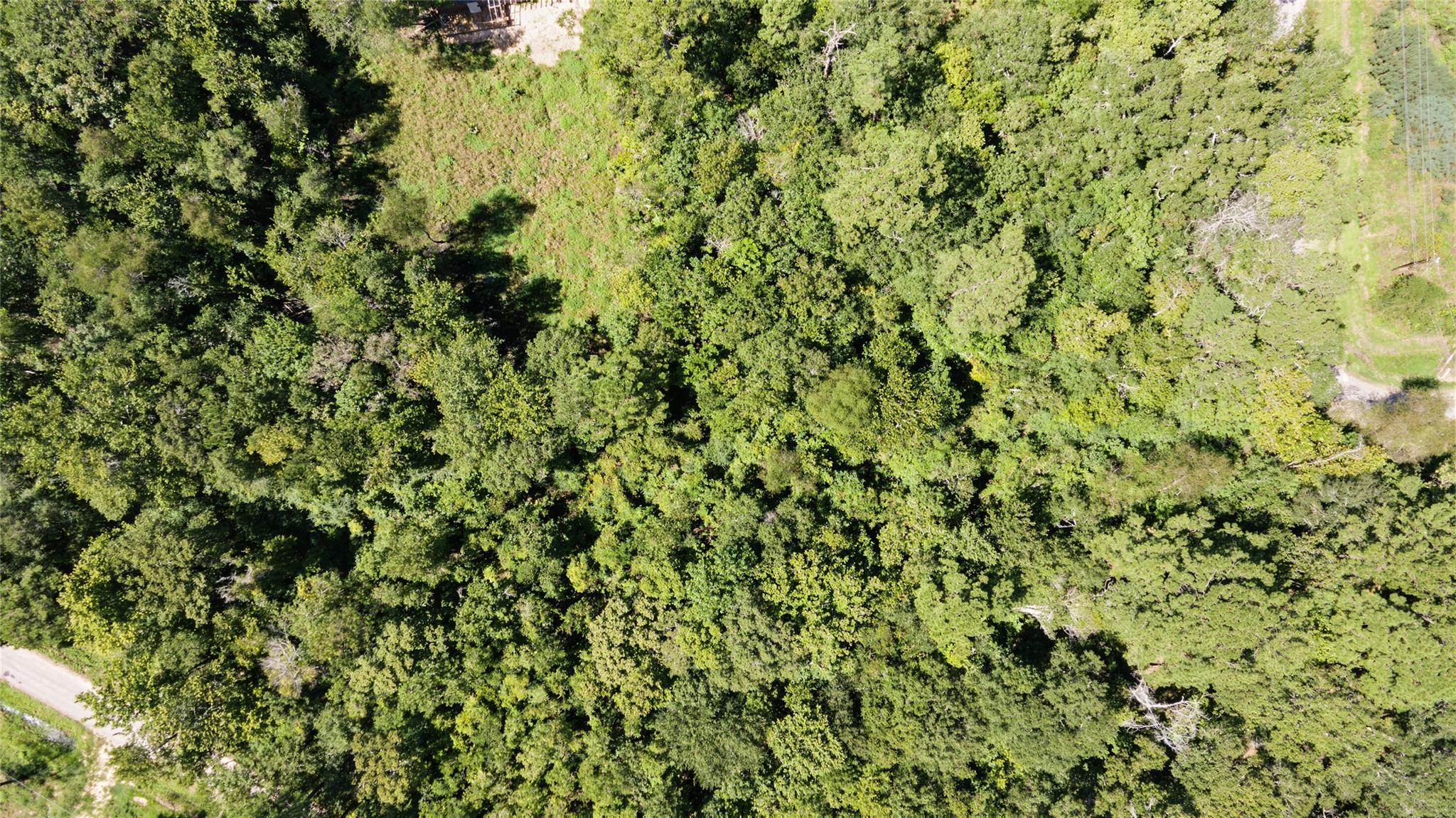 Tbd Barfield Drive Property Photo 8