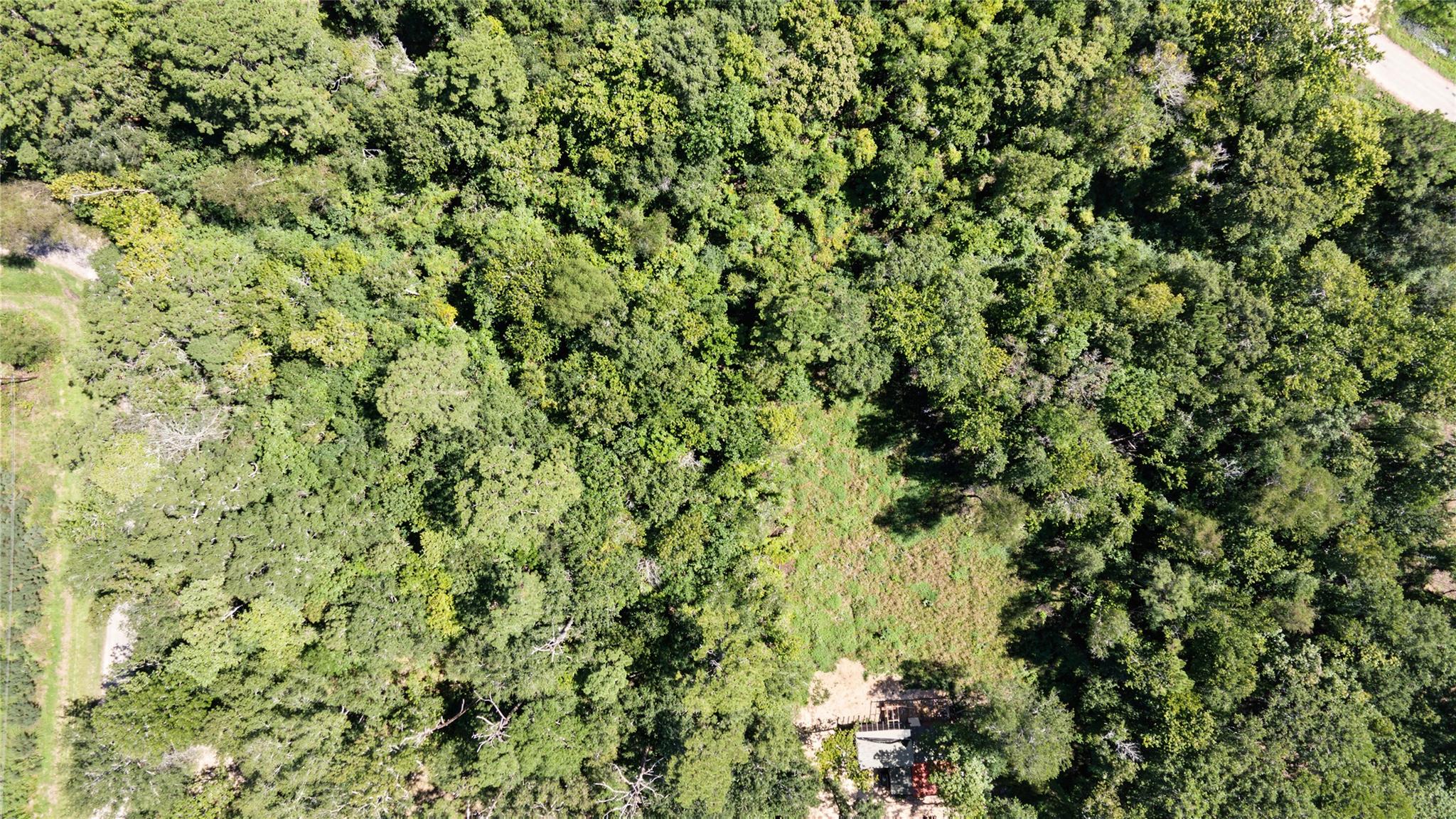 Tbd Barfield Drive Property Photo 10