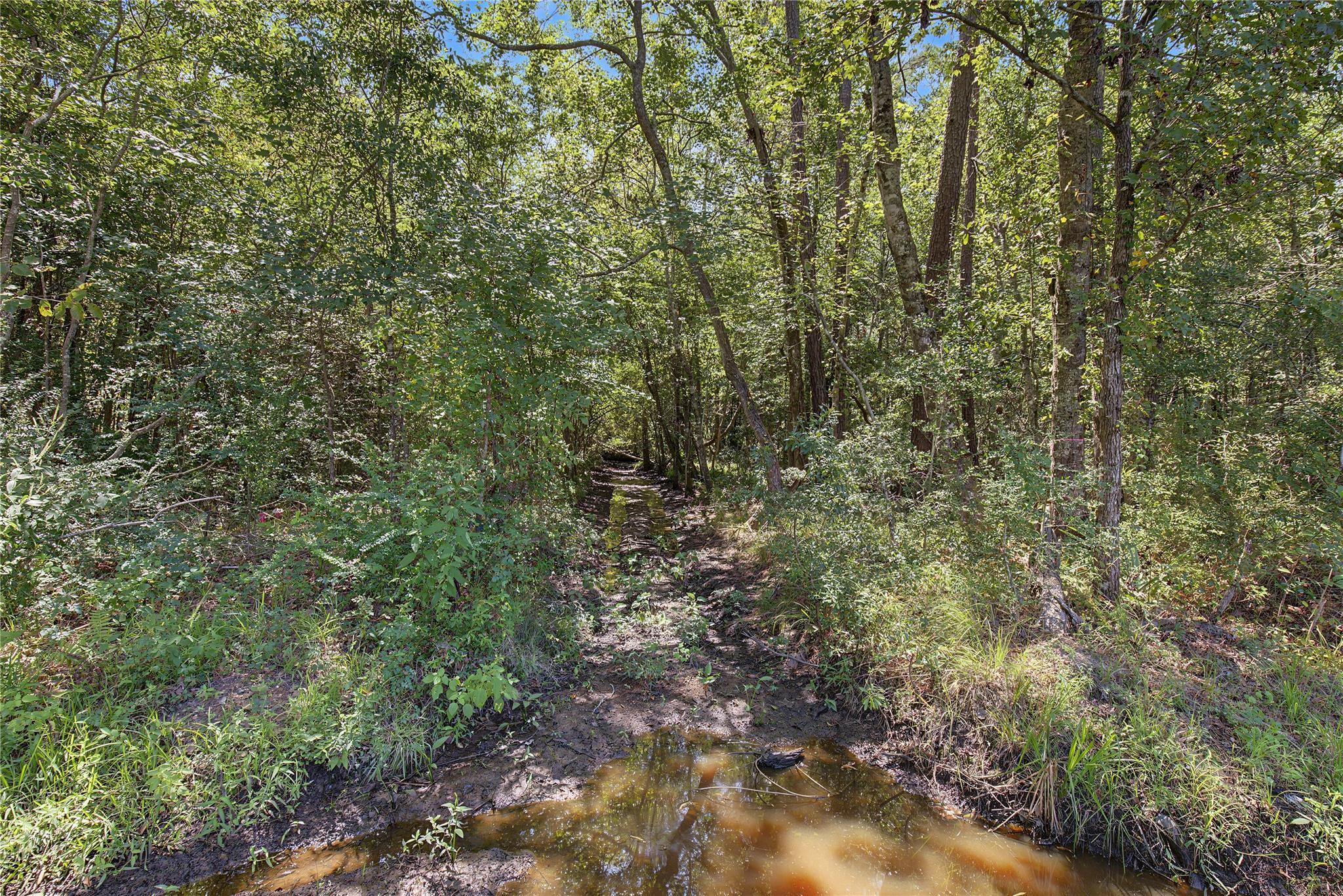 Tbd Barfield Drive Property Photo 19