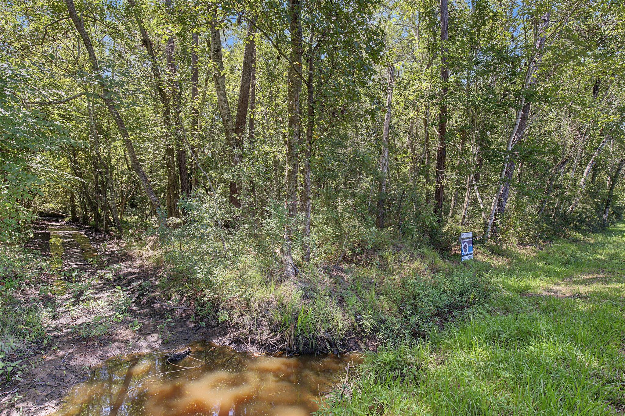 Tbd Barfield Drive Property Photo 20