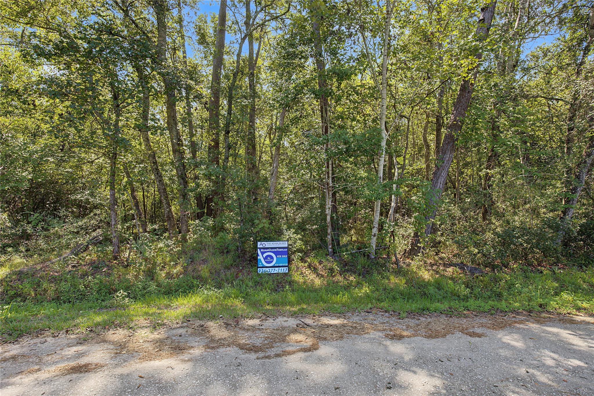 Tbd Barfield Drive Property Photo 21