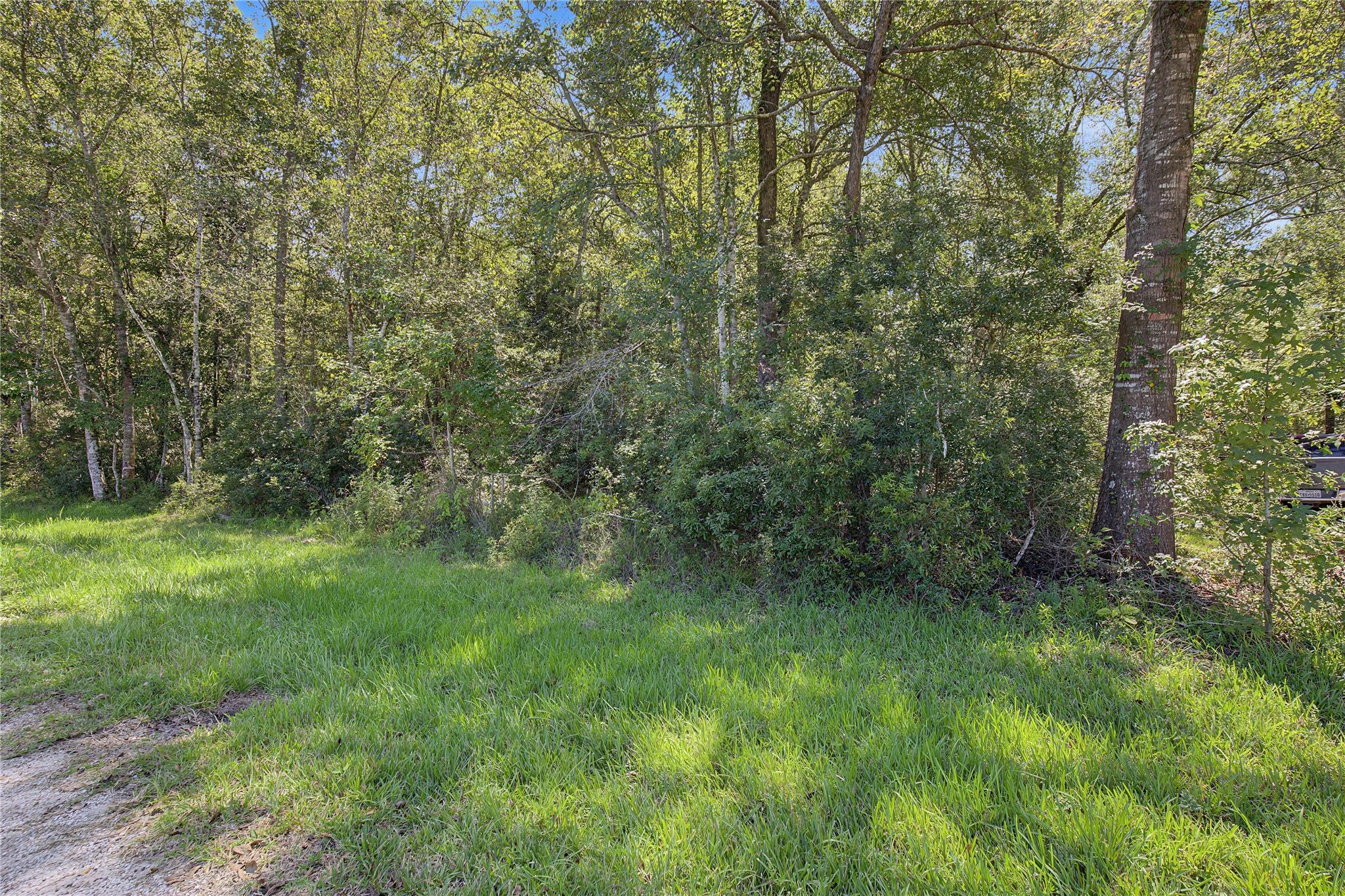 Tbd Barfield Drive Property Photo 24