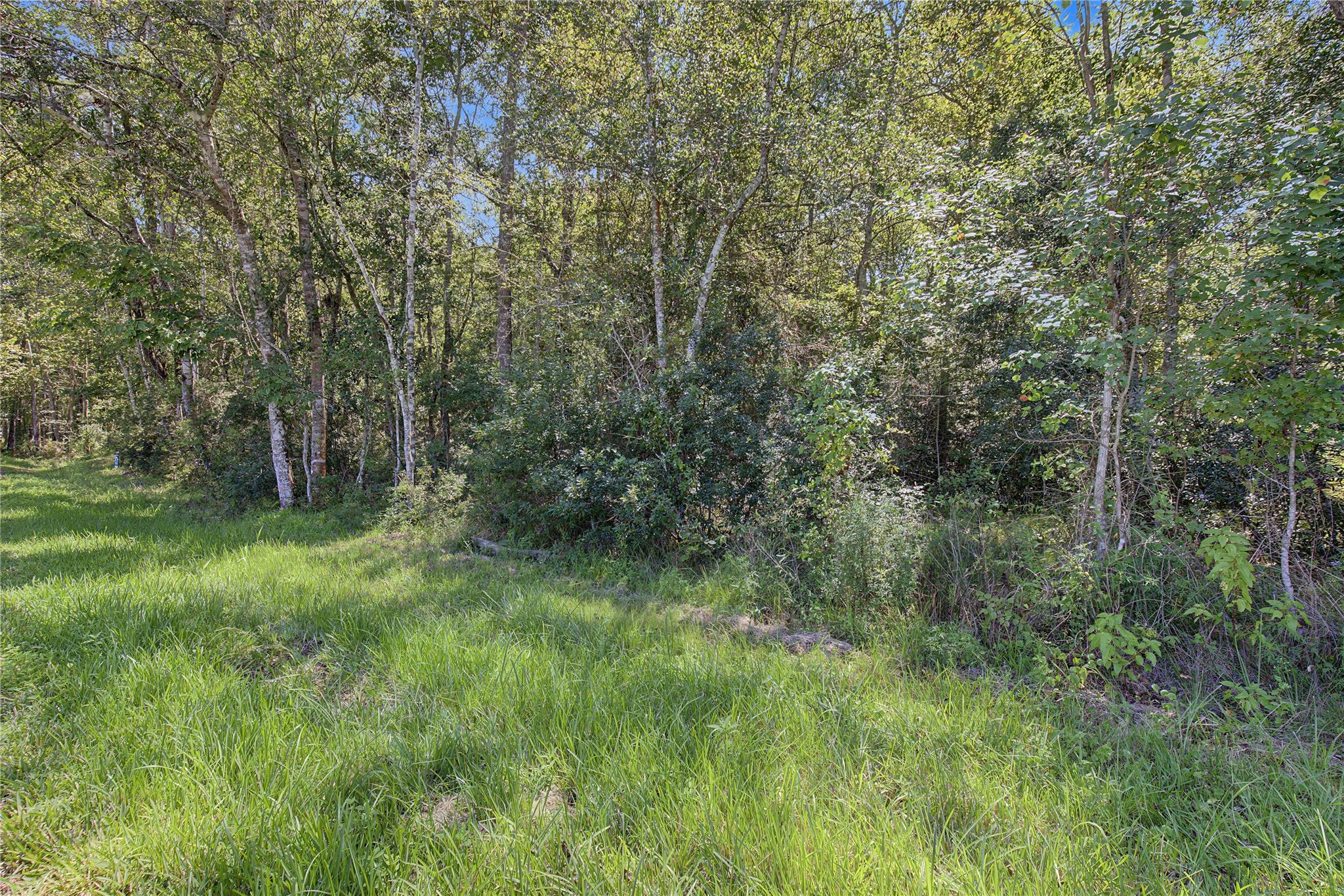 Tbd Barfield Drive Property Photo 25