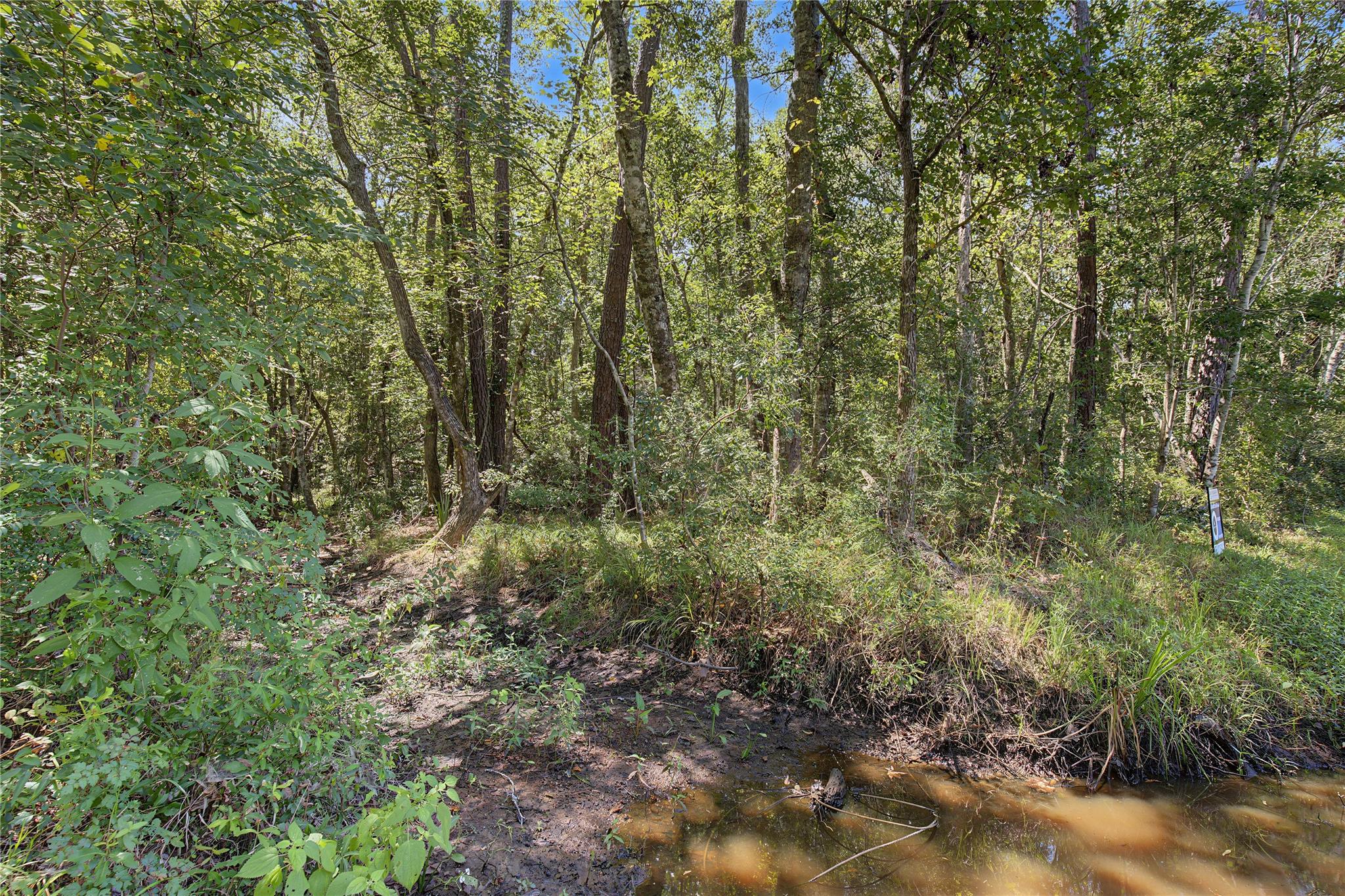 Tbd Barfield Drive Property Photo 26