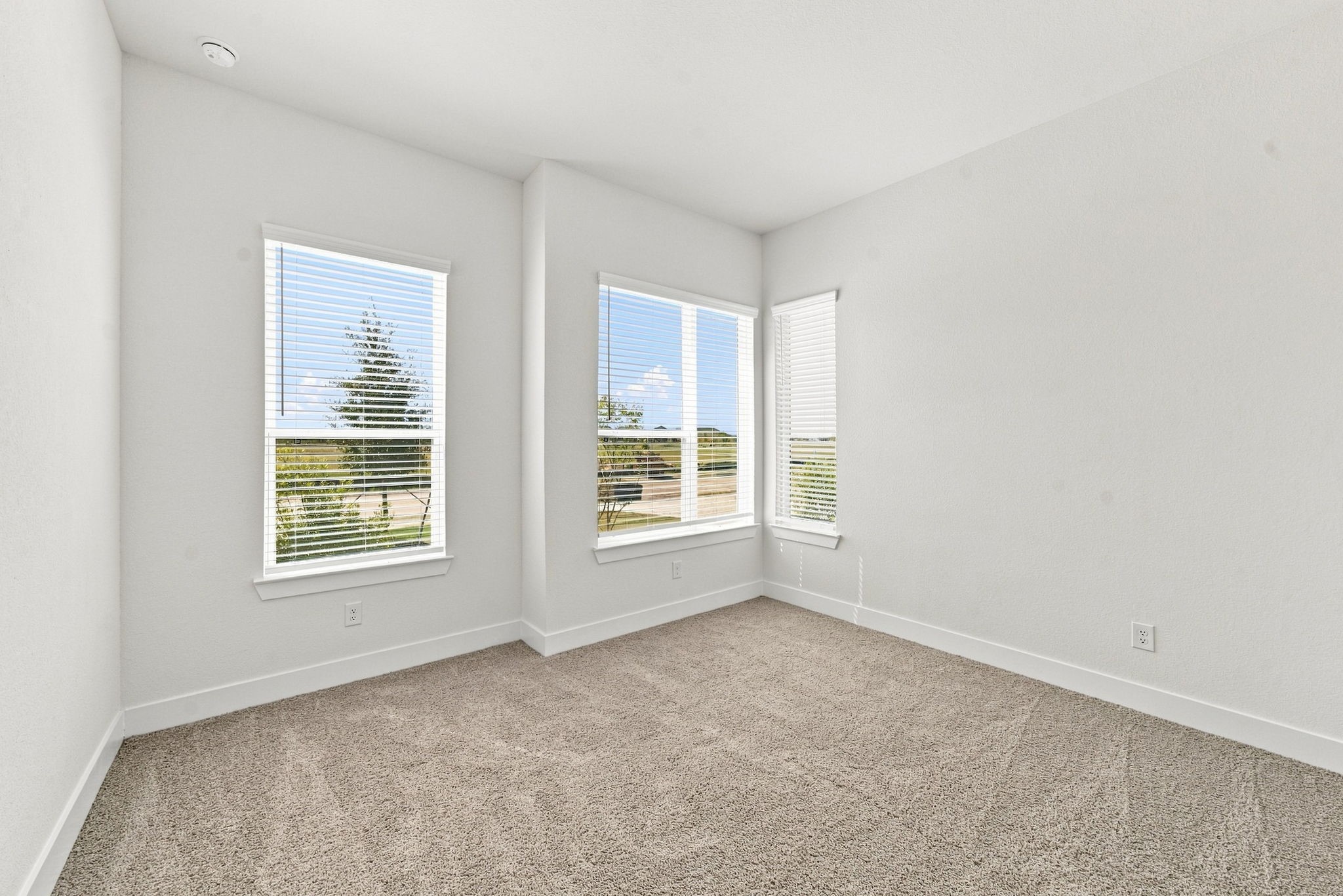 2029 Persimmon Cove Court Property Photo 3
