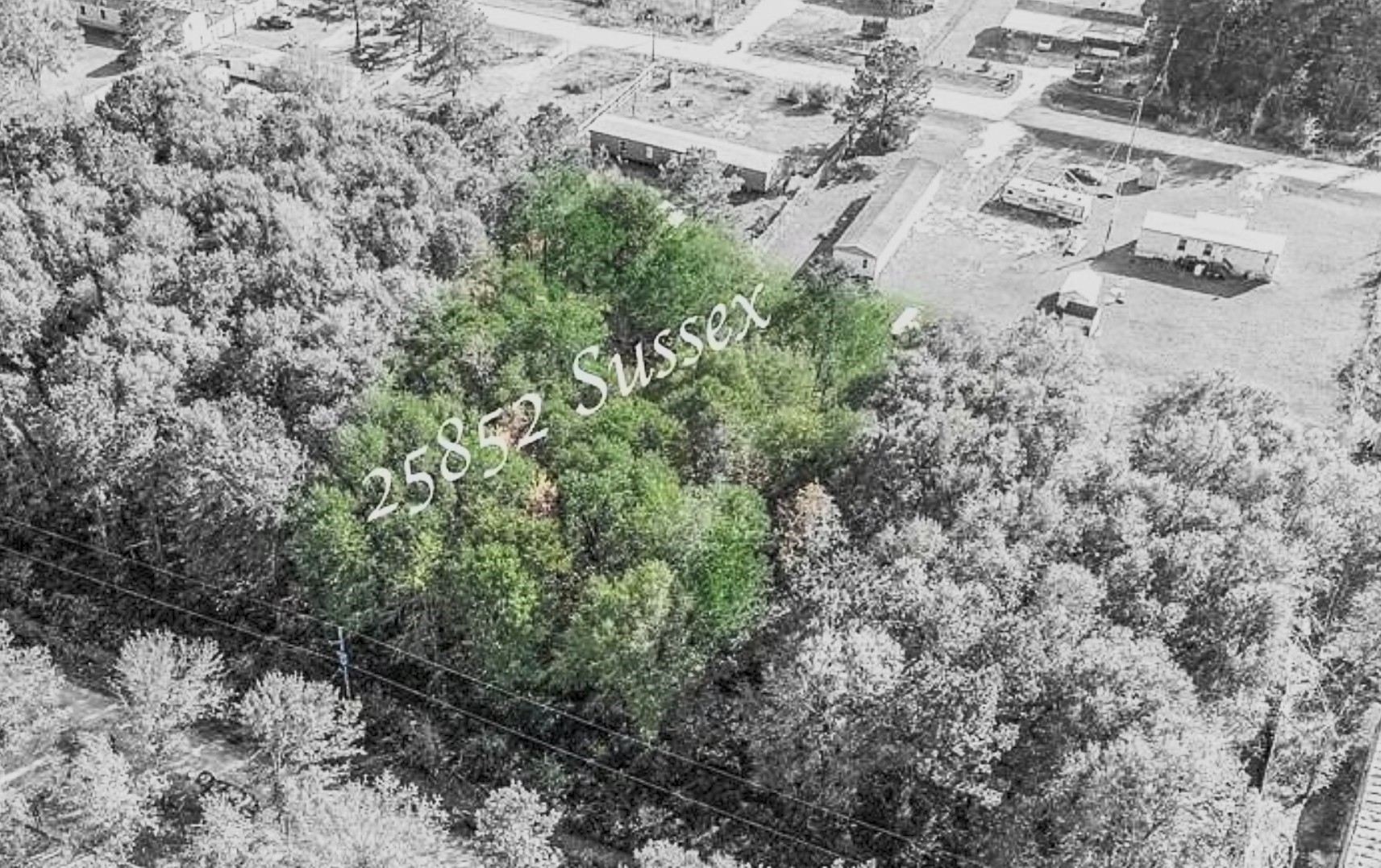 25852 Sussex Property Photo 1