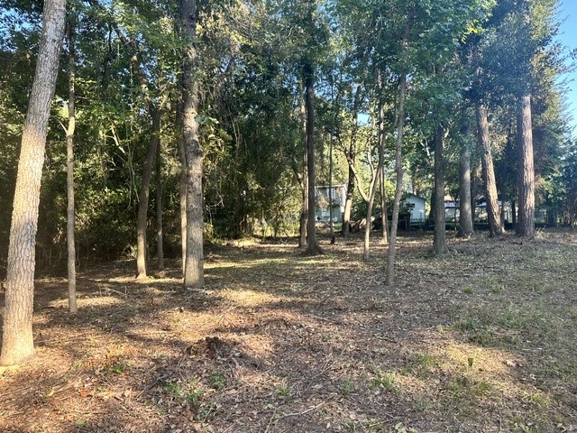 00 Kickapoo Trail Property Photo 3