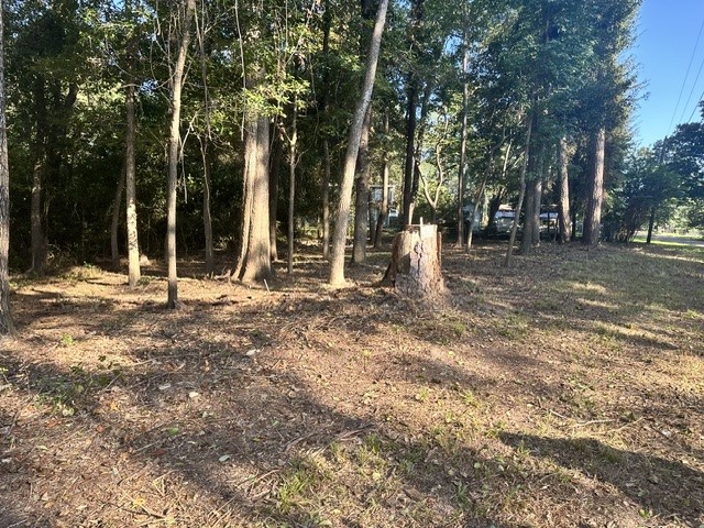 00 Kickapoo Trail Property Photo 4