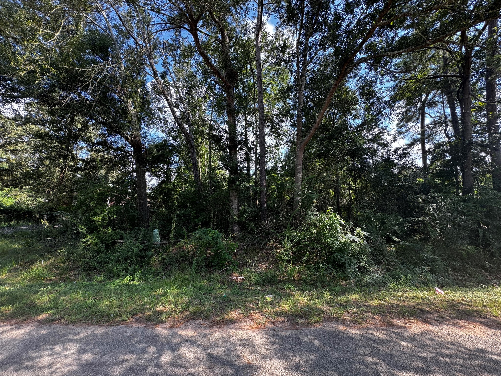 17625 SPANISH OAK Property Photo 1