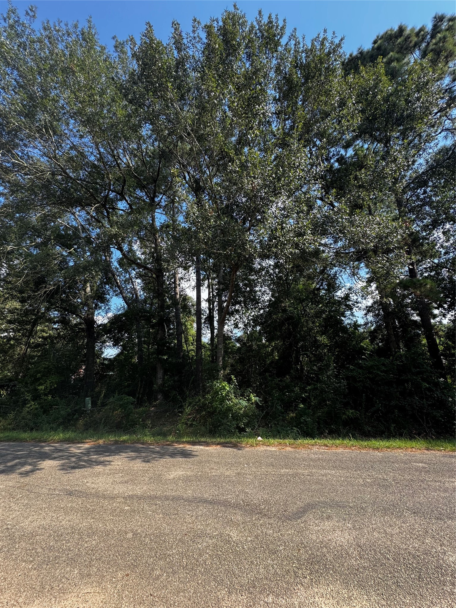 17625 Spanish Oak Property Photo 3