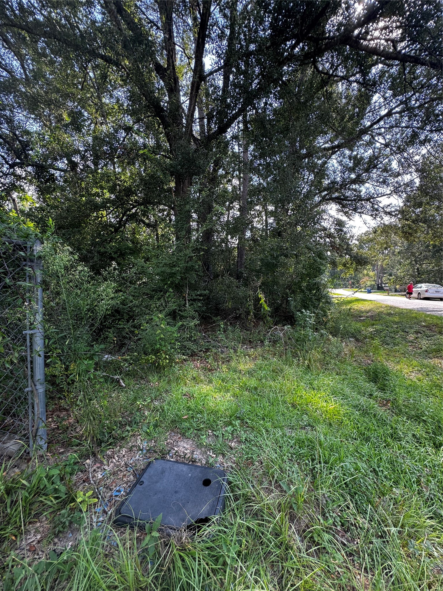 17625 Spanish Oak Property Photo 5