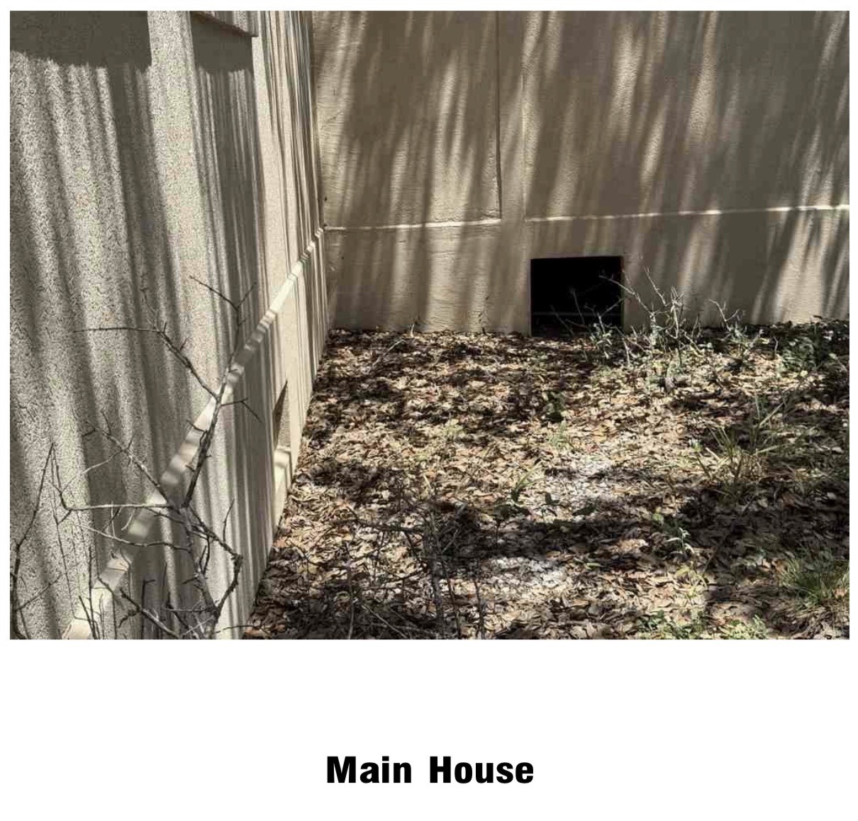 3607 Crawford Road Property Photo 21