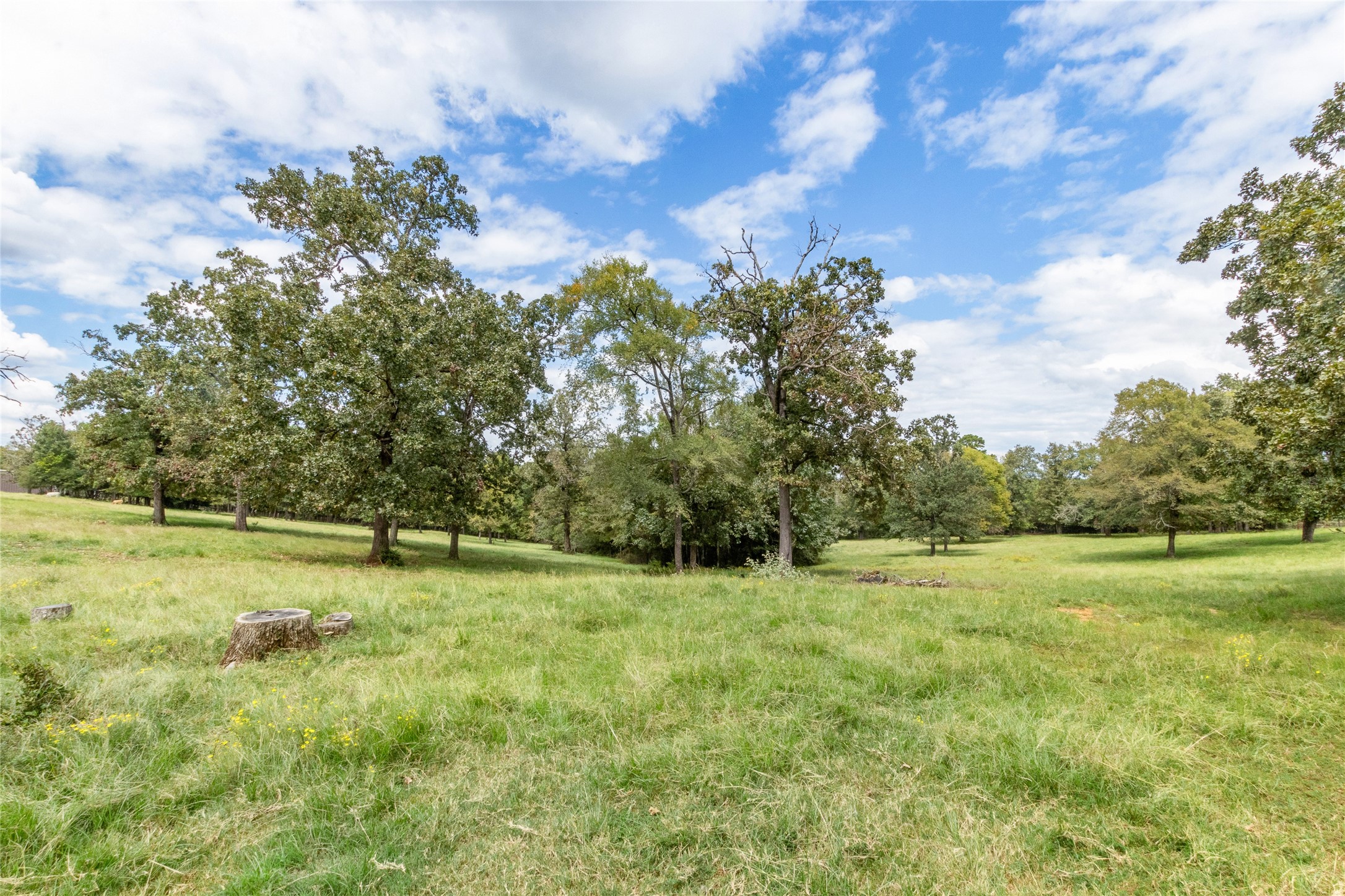 1505 County Road 2135 Property Photo