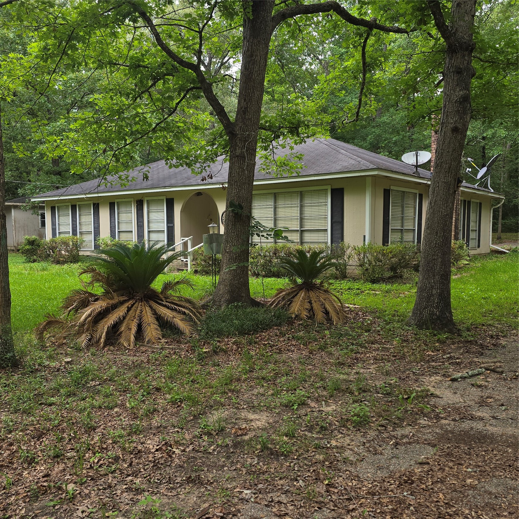910 Ragsdale Springs Road Property Photo 1