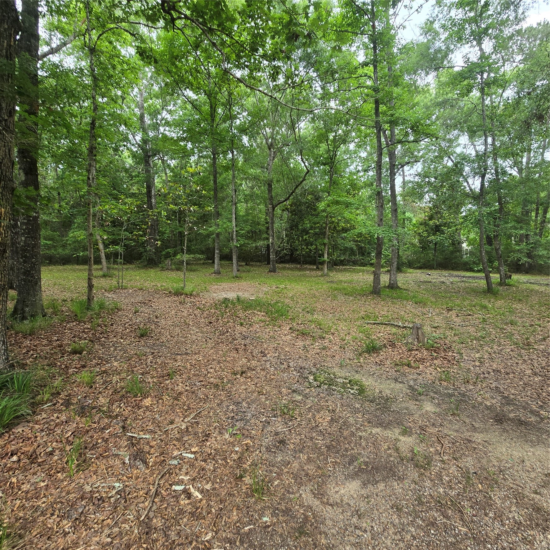 910 Ragsdale Springs Road Property Photo 26