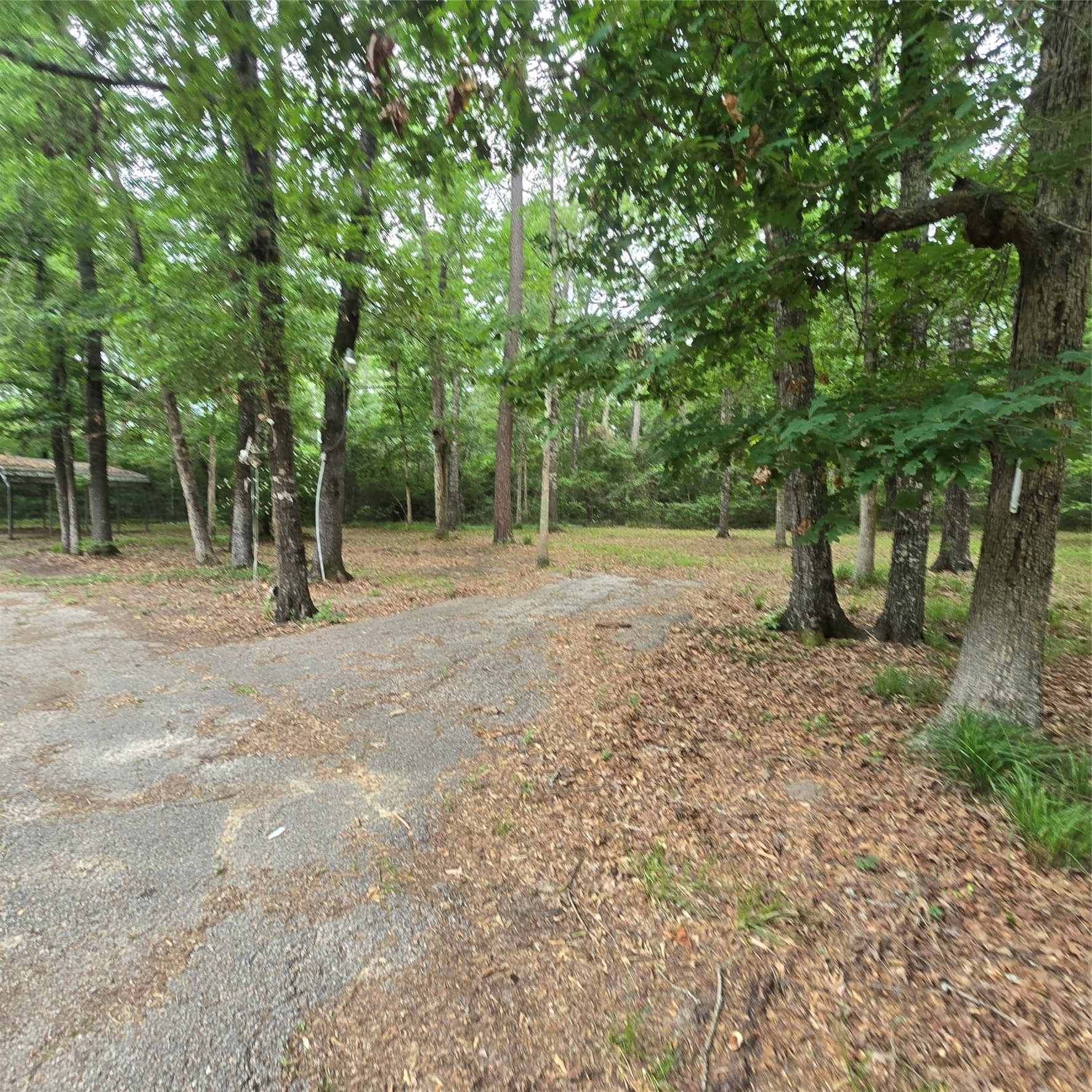 910 Ragsdale Springs Road Property Photo 27
