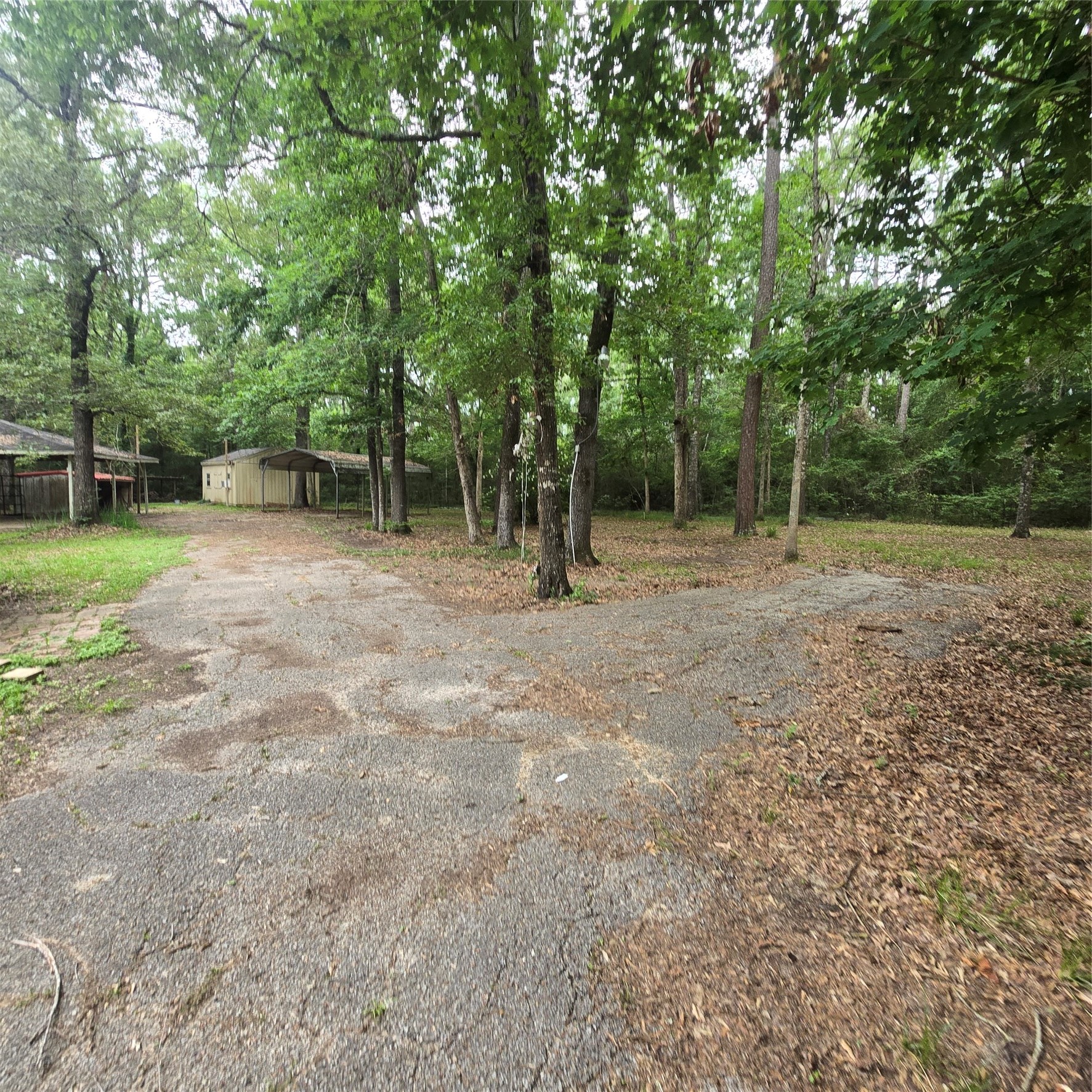 910 Ragsdale Springs Road Property Photo 28
