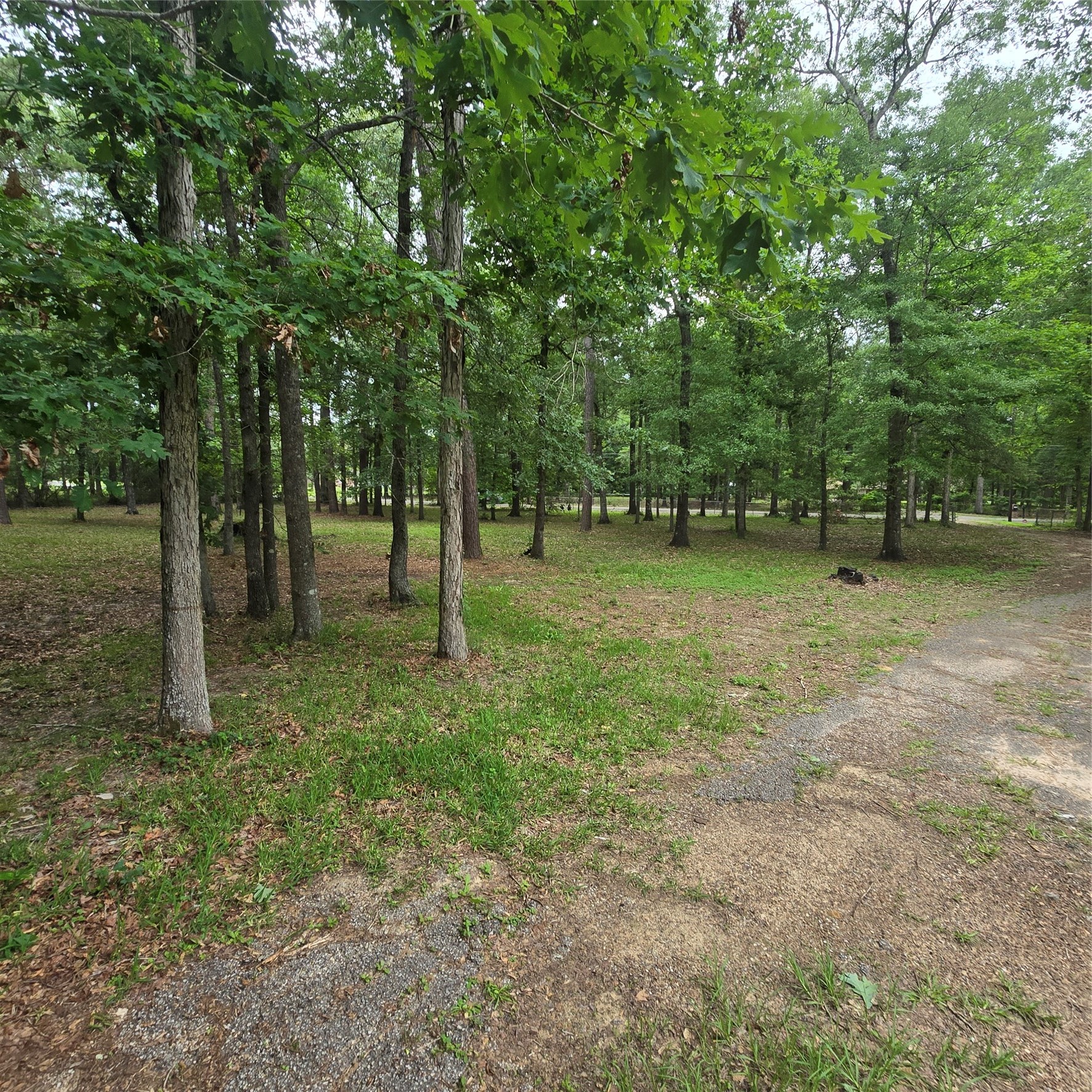 910 Ragsdale Springs Road Property Photo 29