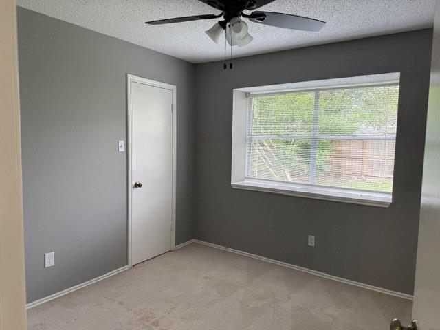 2714 Blue Mist Drive Property Photo 11