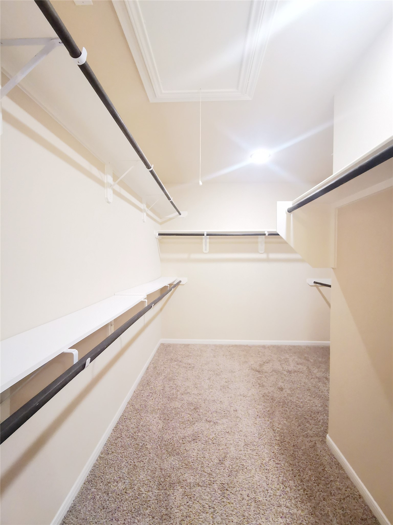 29202 Vernon Forest Court Property Photo 6