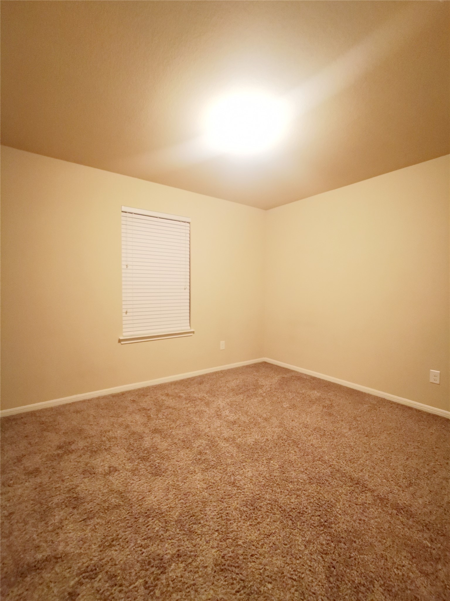 29202 Vernon Forest Court Property Photo 9