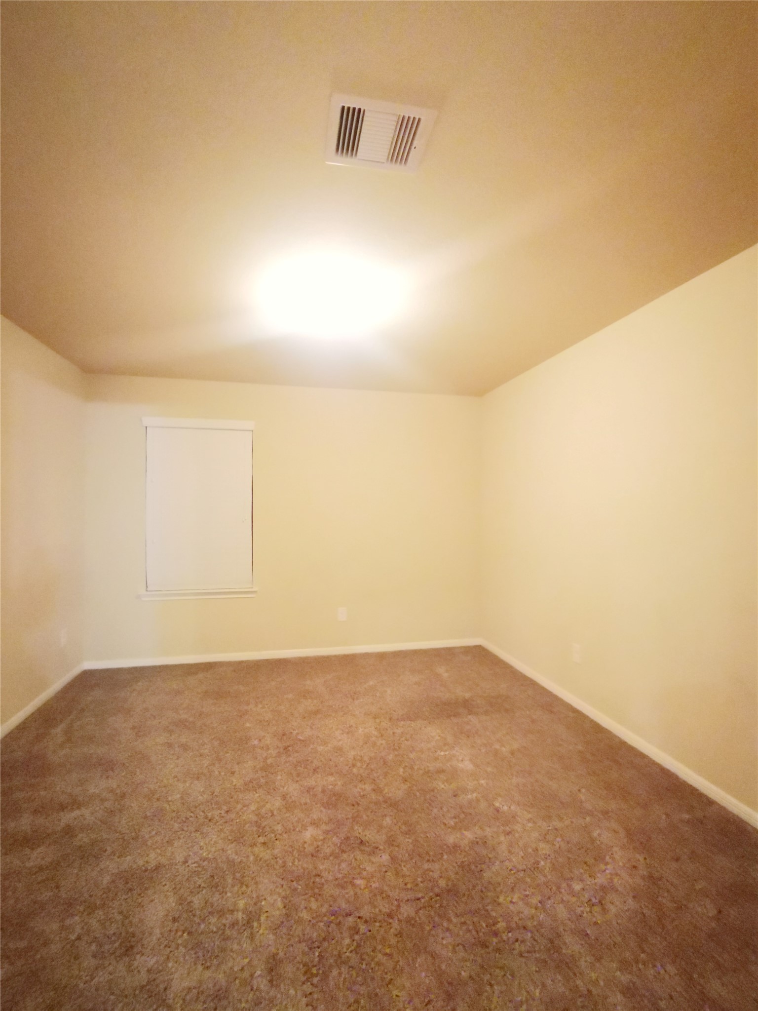 29202 Vernon Forest Court Property Photo 11