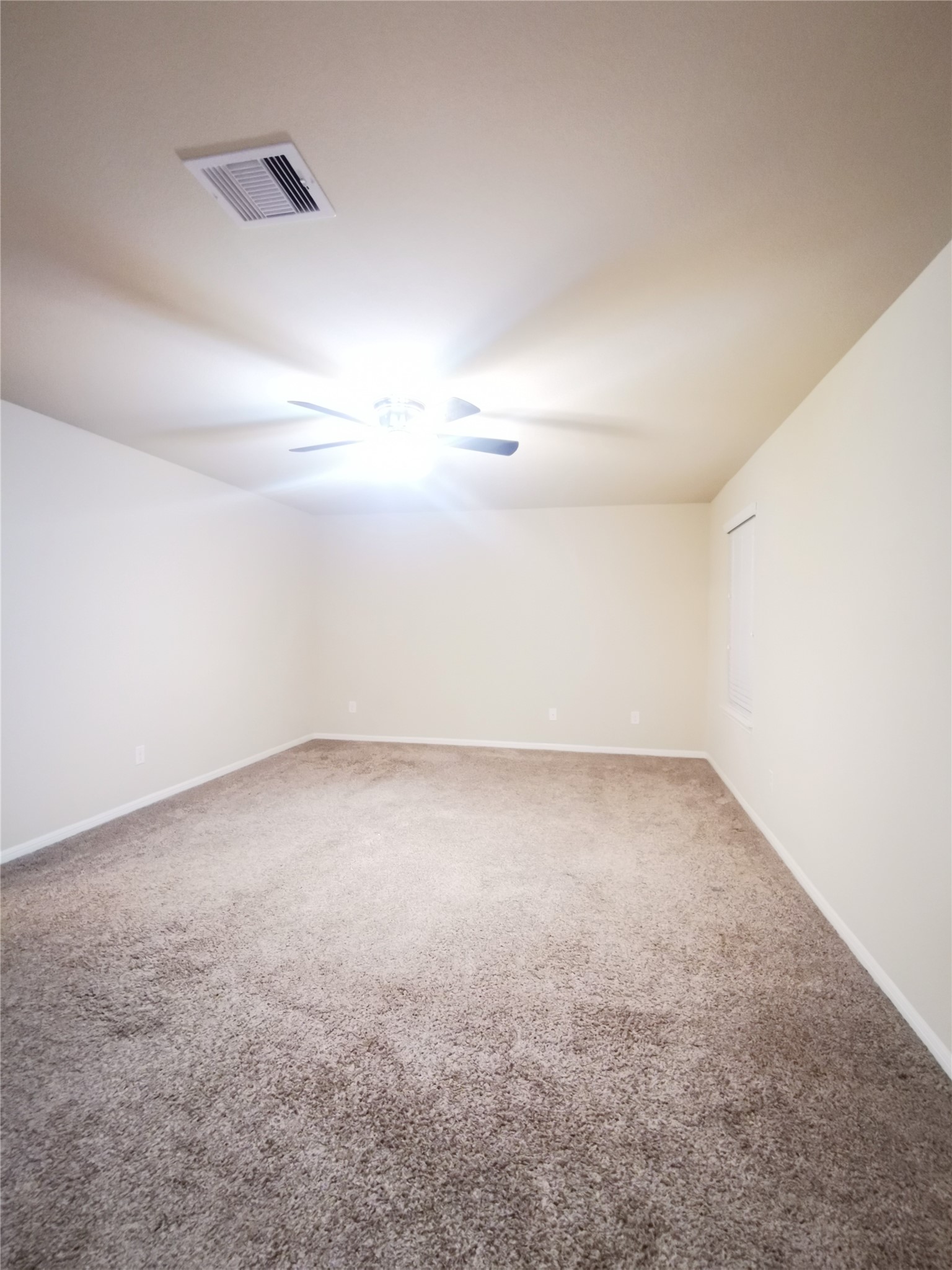 29202 Vernon Forest Court Property Photo 13