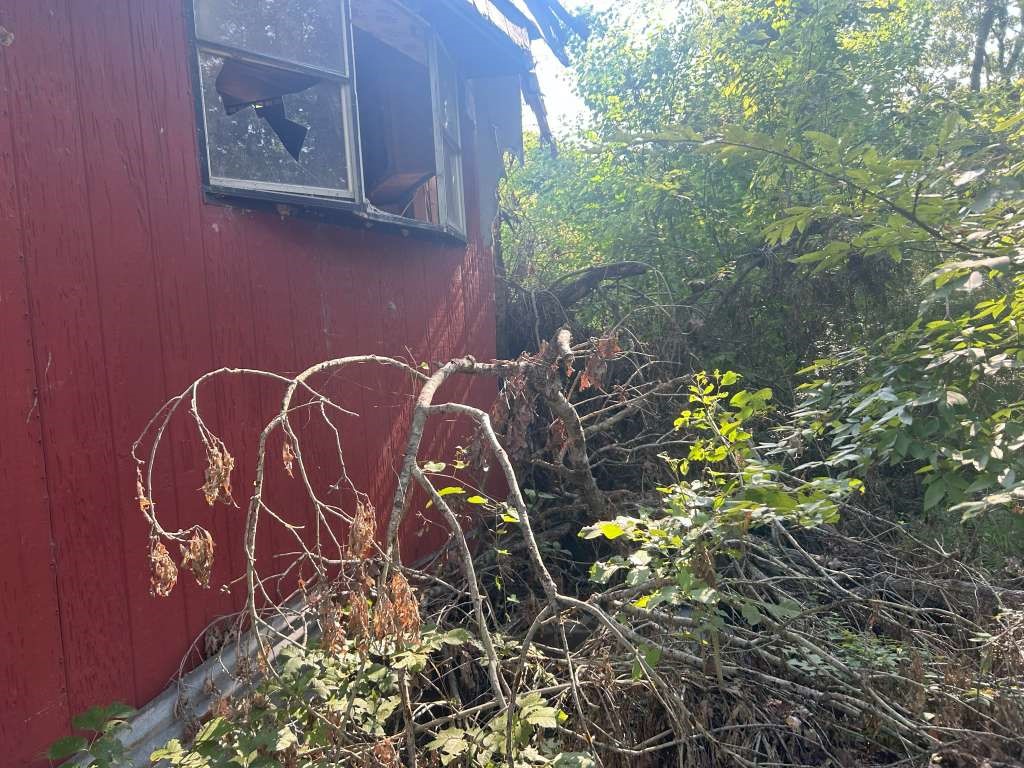 228 Kelly Drive Property Photo 4