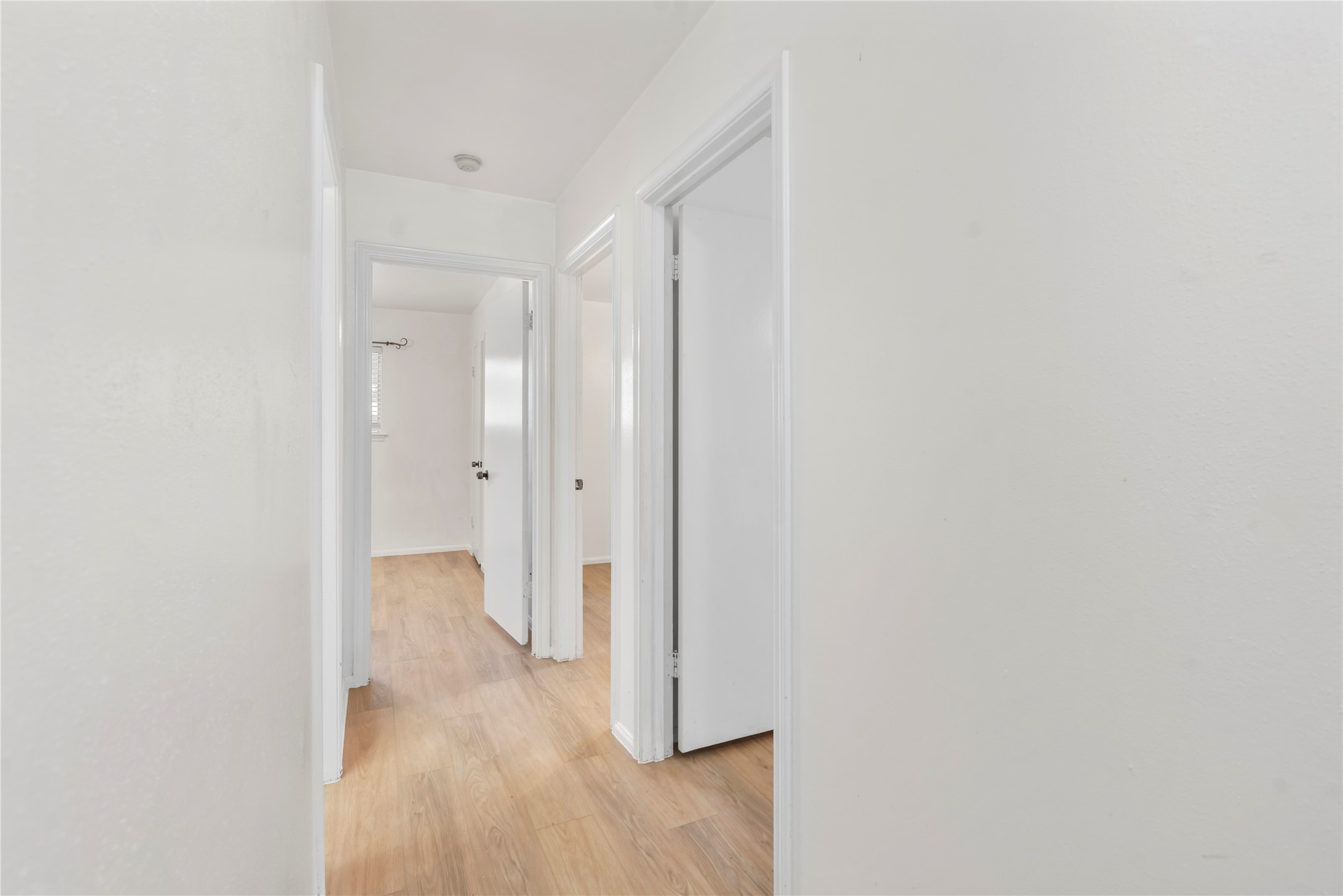 8903 Roos Road Property Photo 16