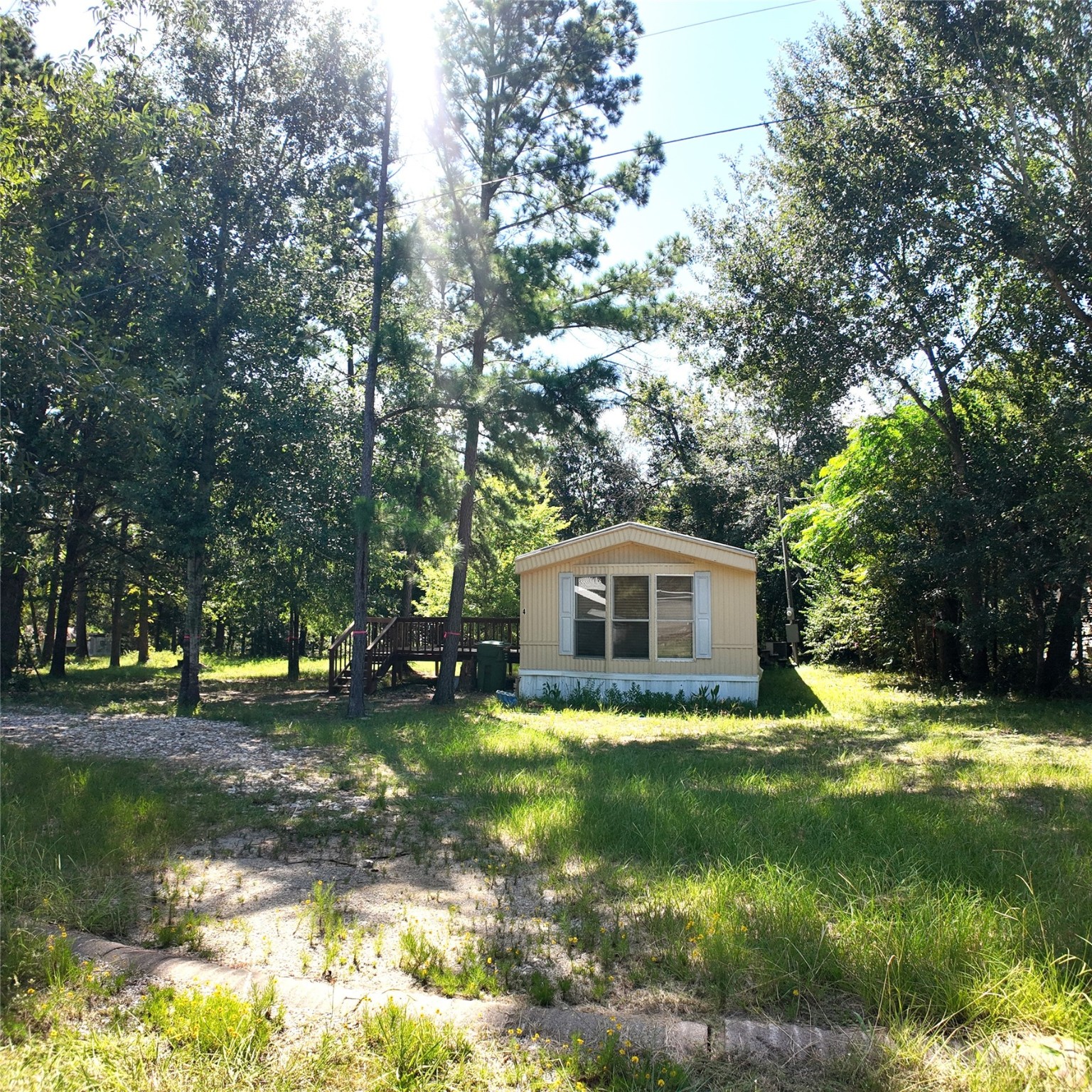 4 Dorothy Street Property Photo 1