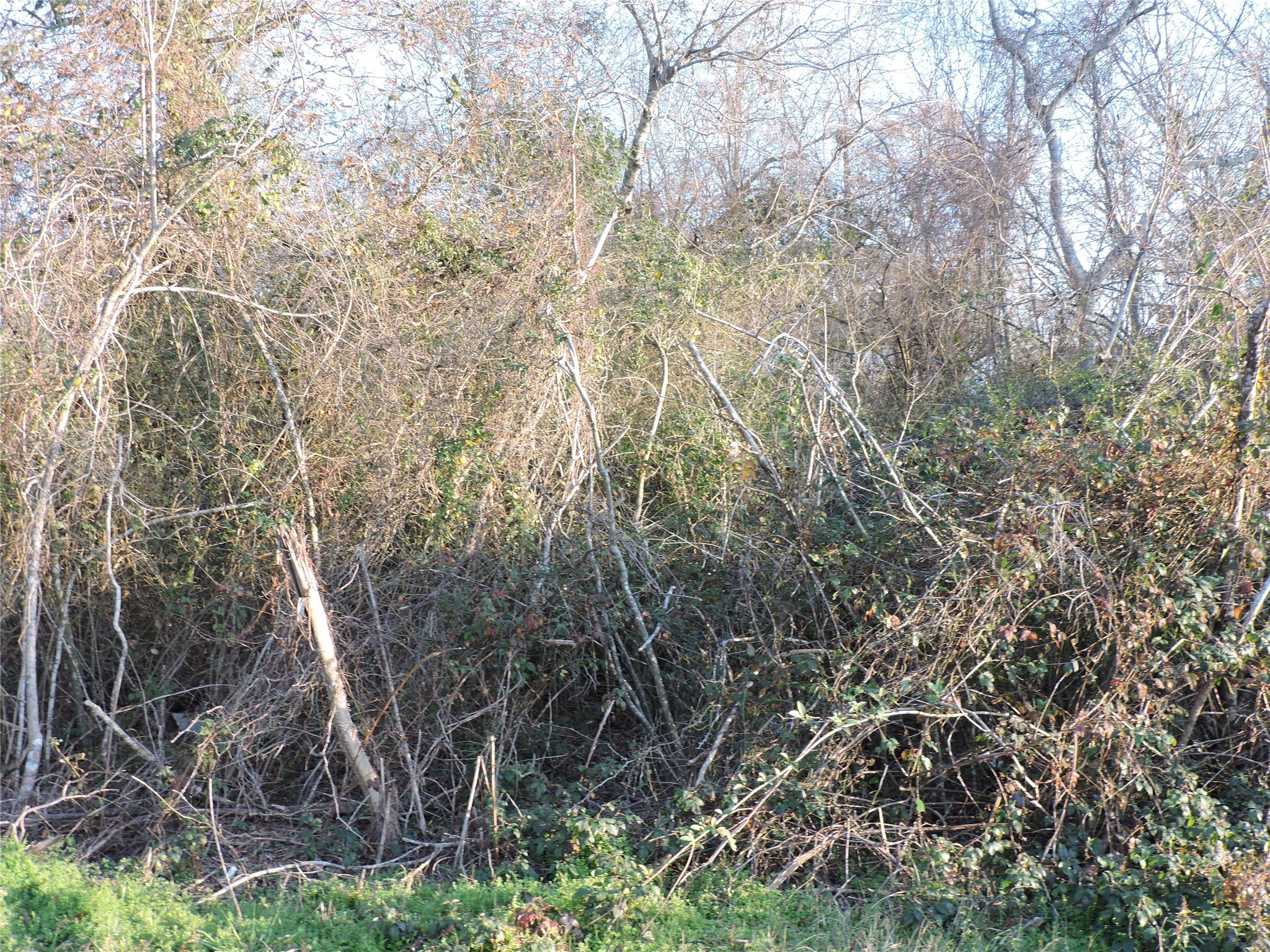 000 S Donaldson Property Photo 3