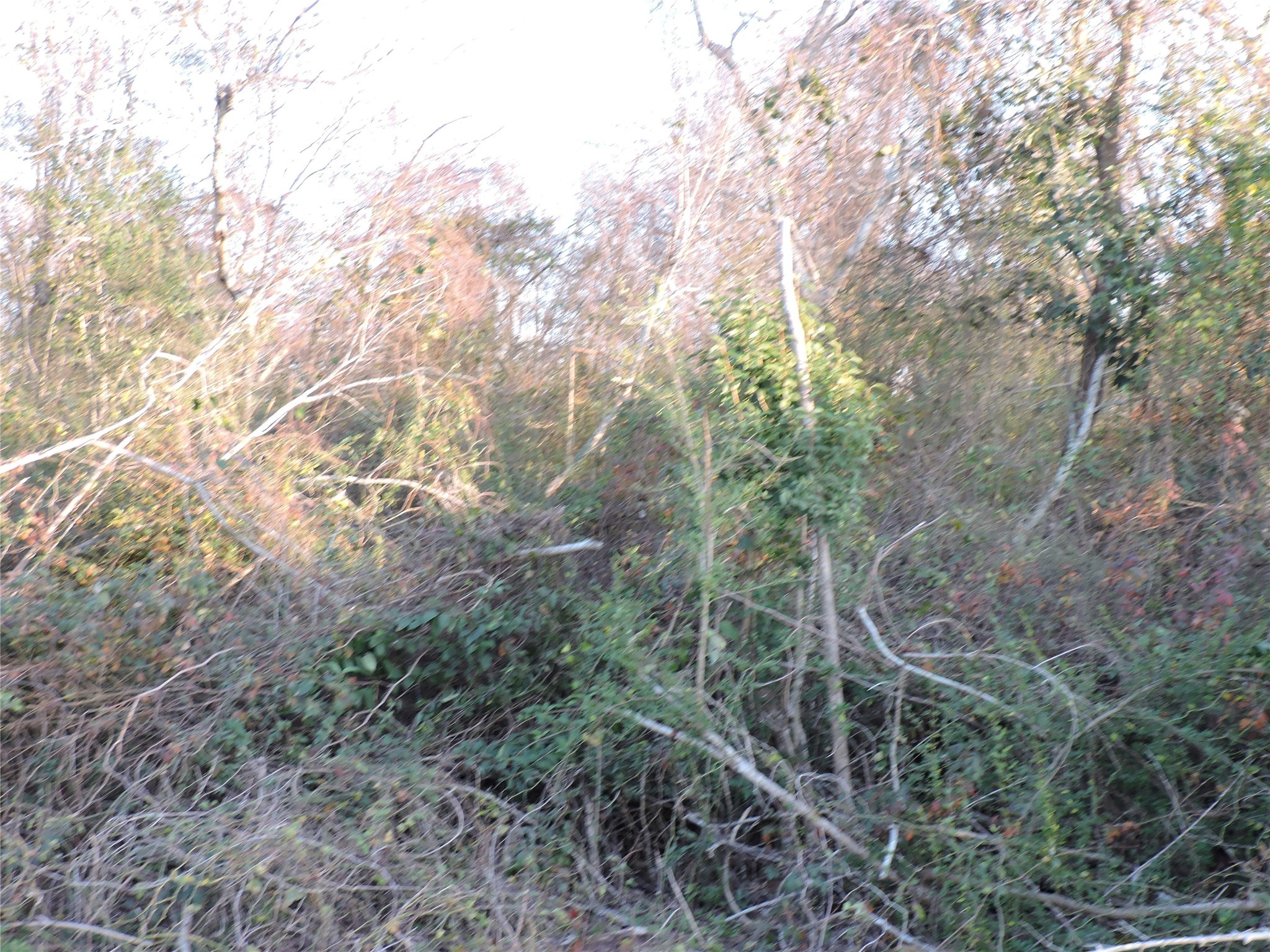 000 S Donaldson Property Photo 4