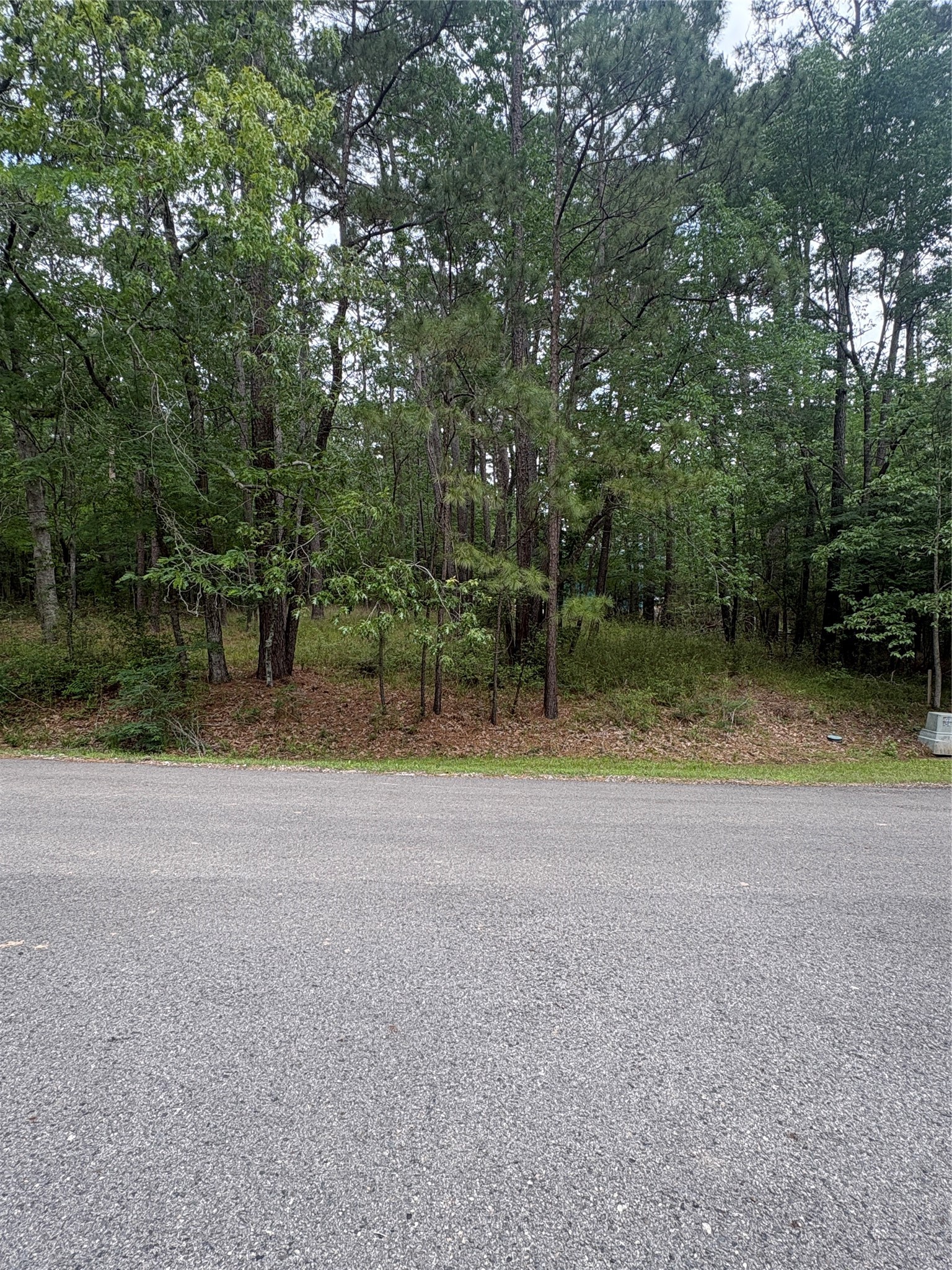 78 Wentworth Lane Property Photo 1