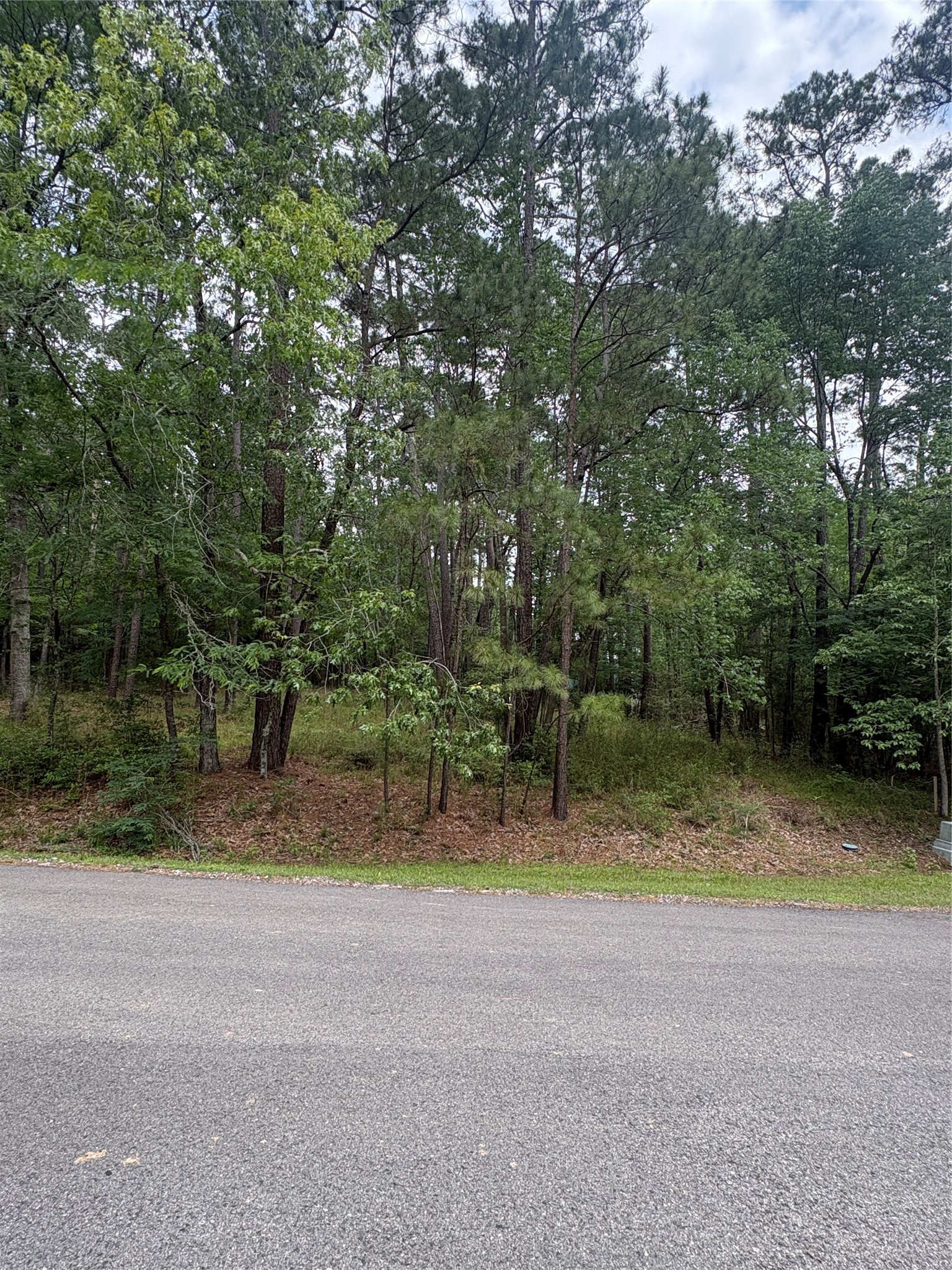 78 Wentworth Lane Property Photo 2