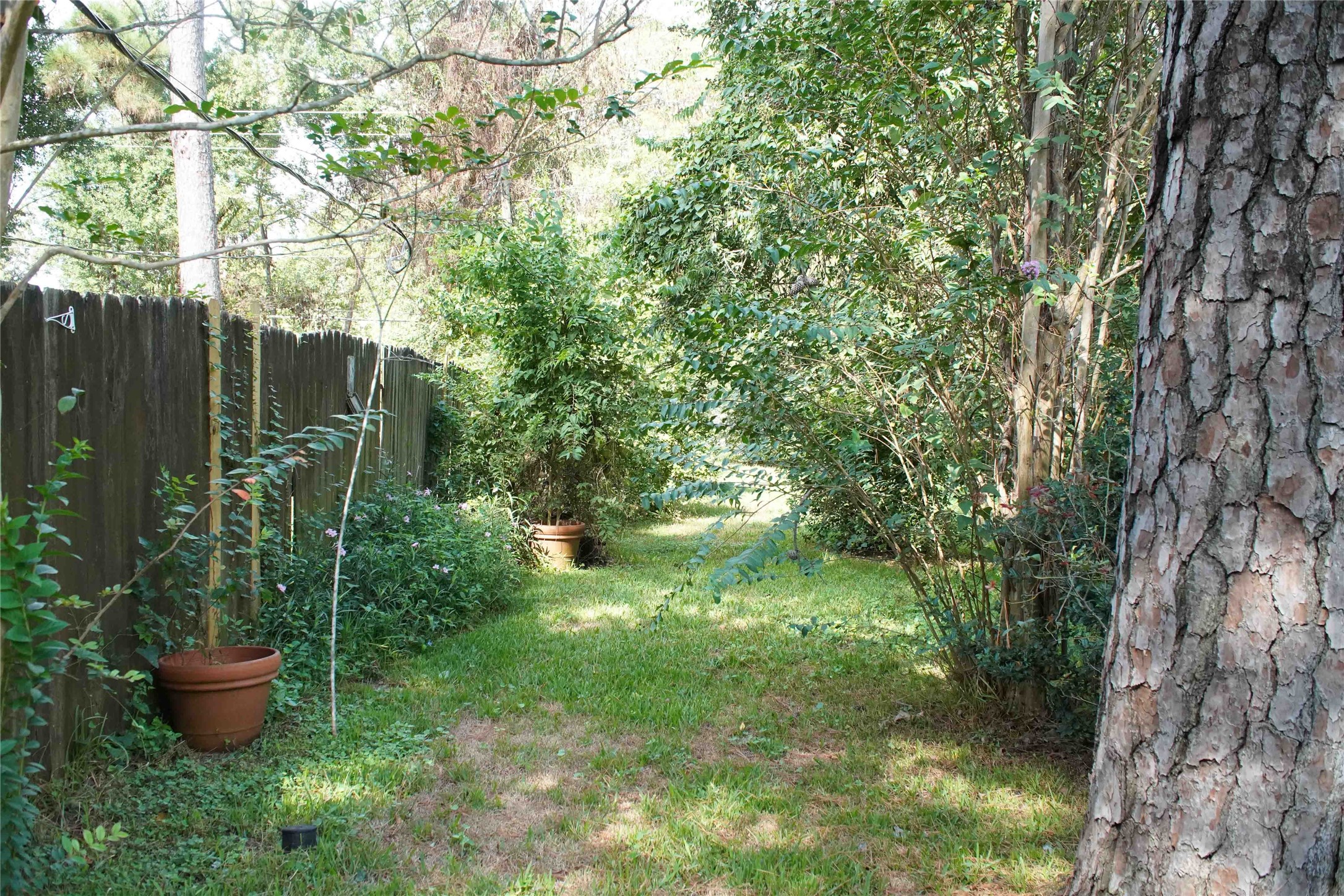 22311 Greenbrook Drive Property Photo 16