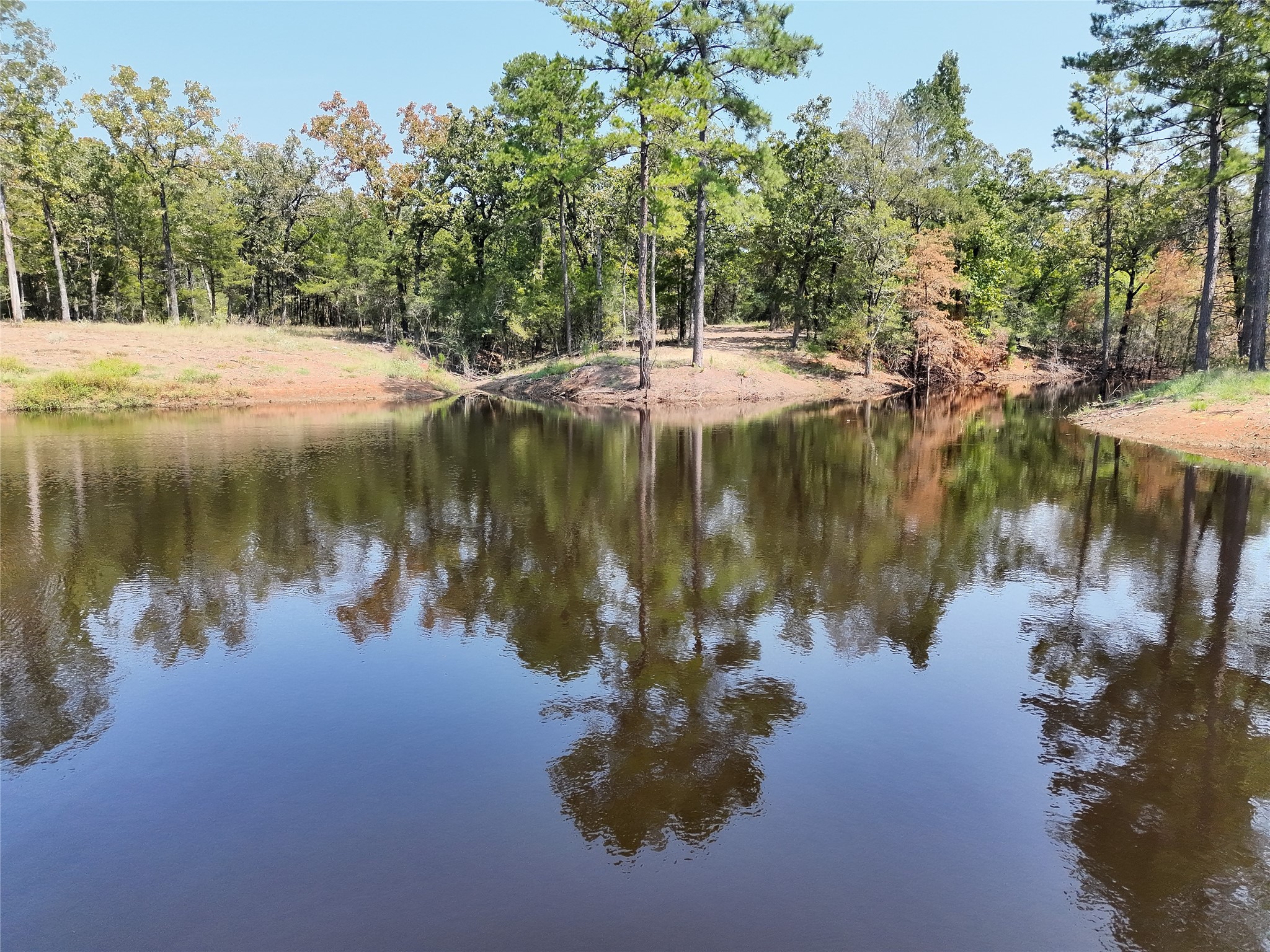 26457 Fm 831 Property Photo 40