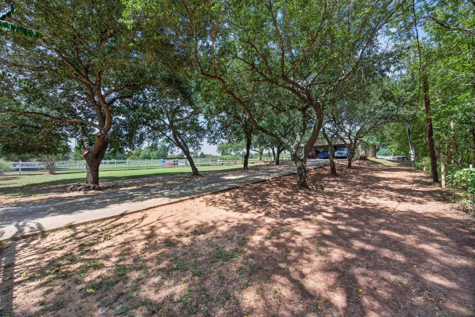 37530 L G Lane Property Photo 4