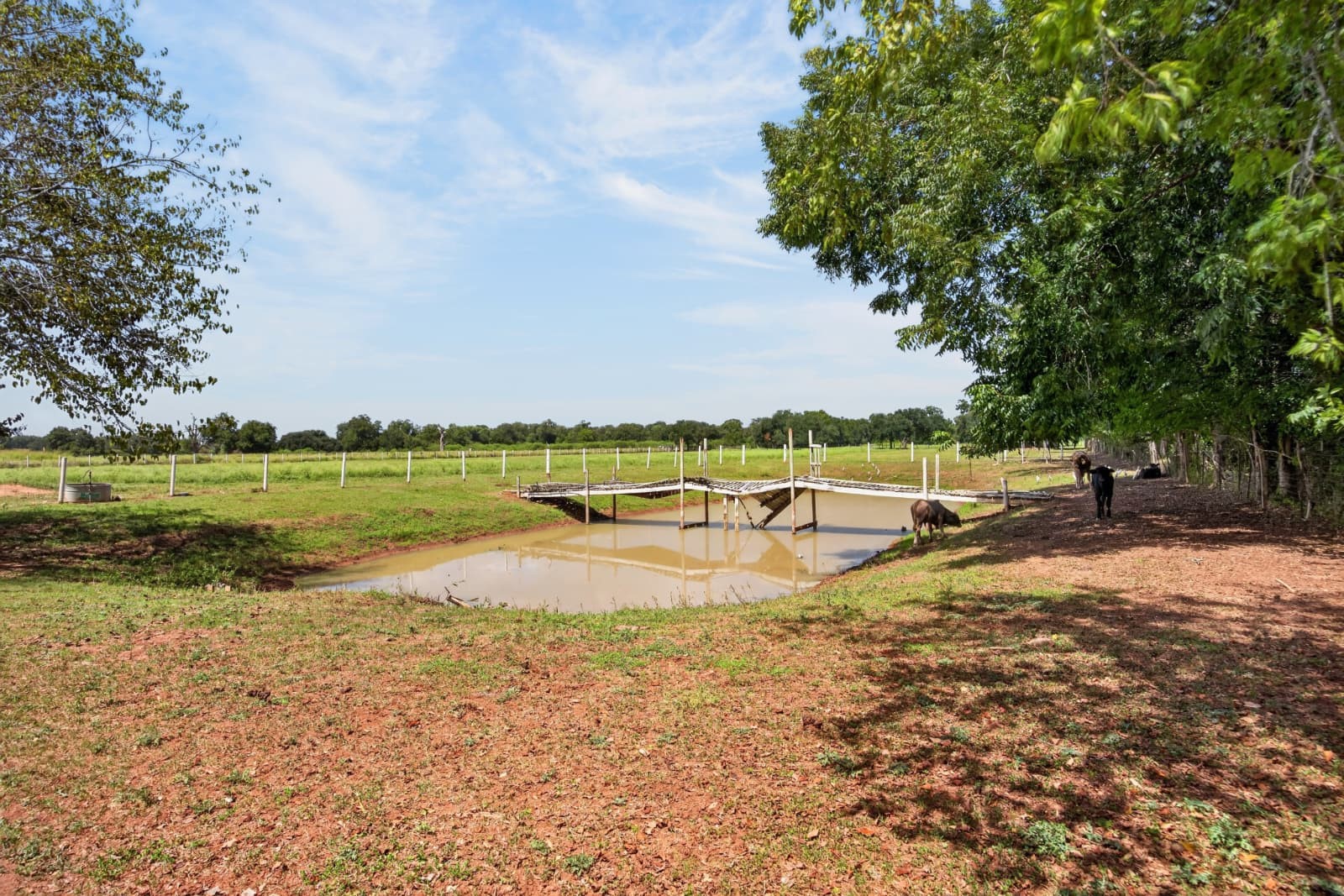 37530 L G Lane Property Photo 31
