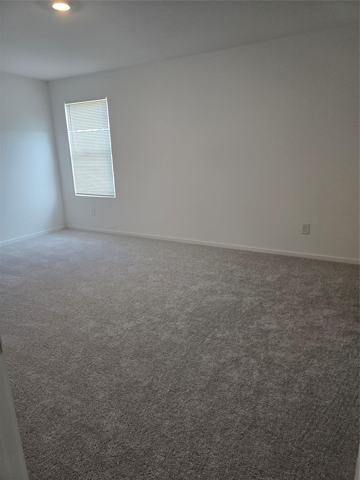 25560 Blossom Court Property Photo 12