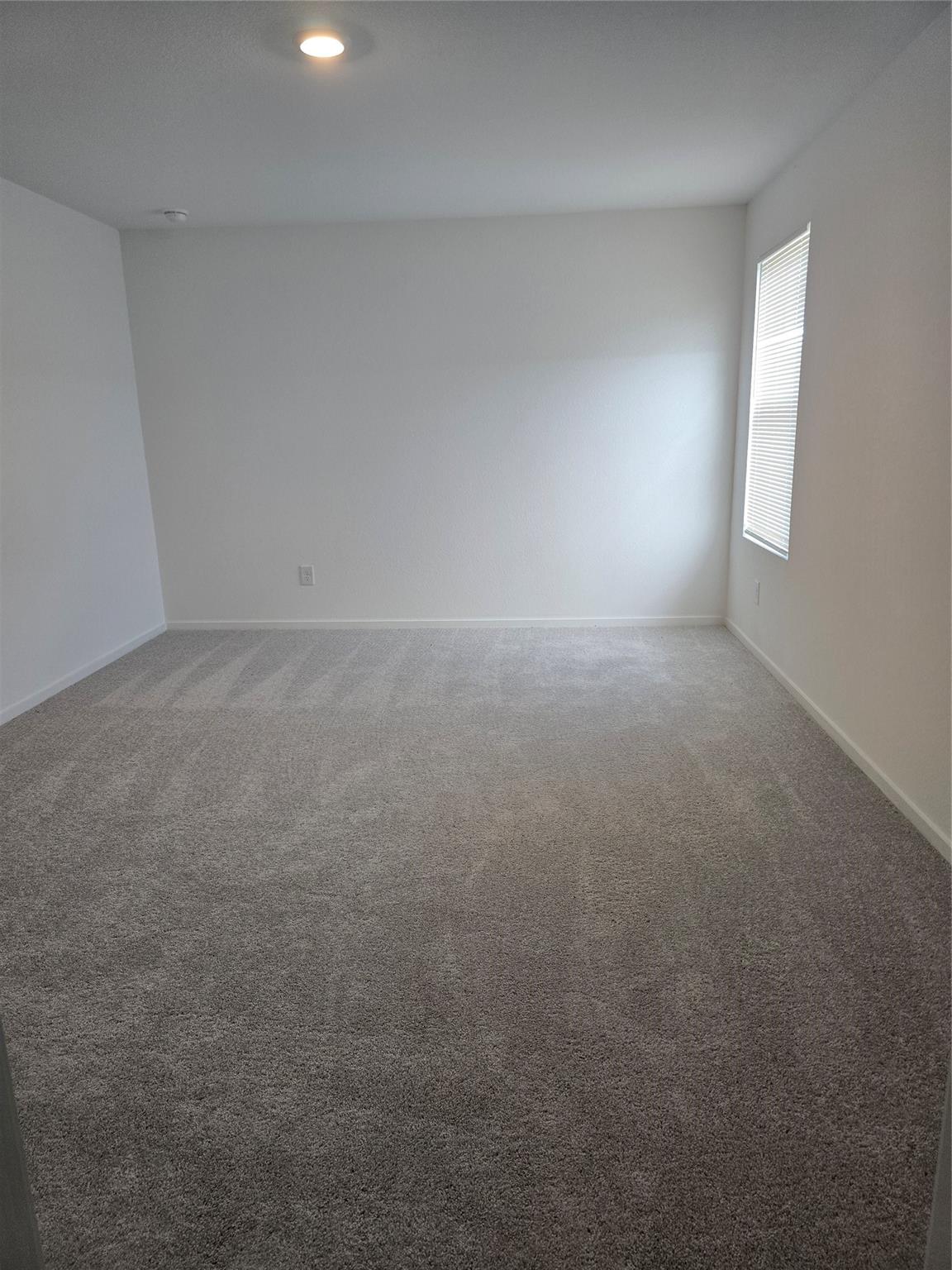 25560 Blossom Court Property Photo 13
