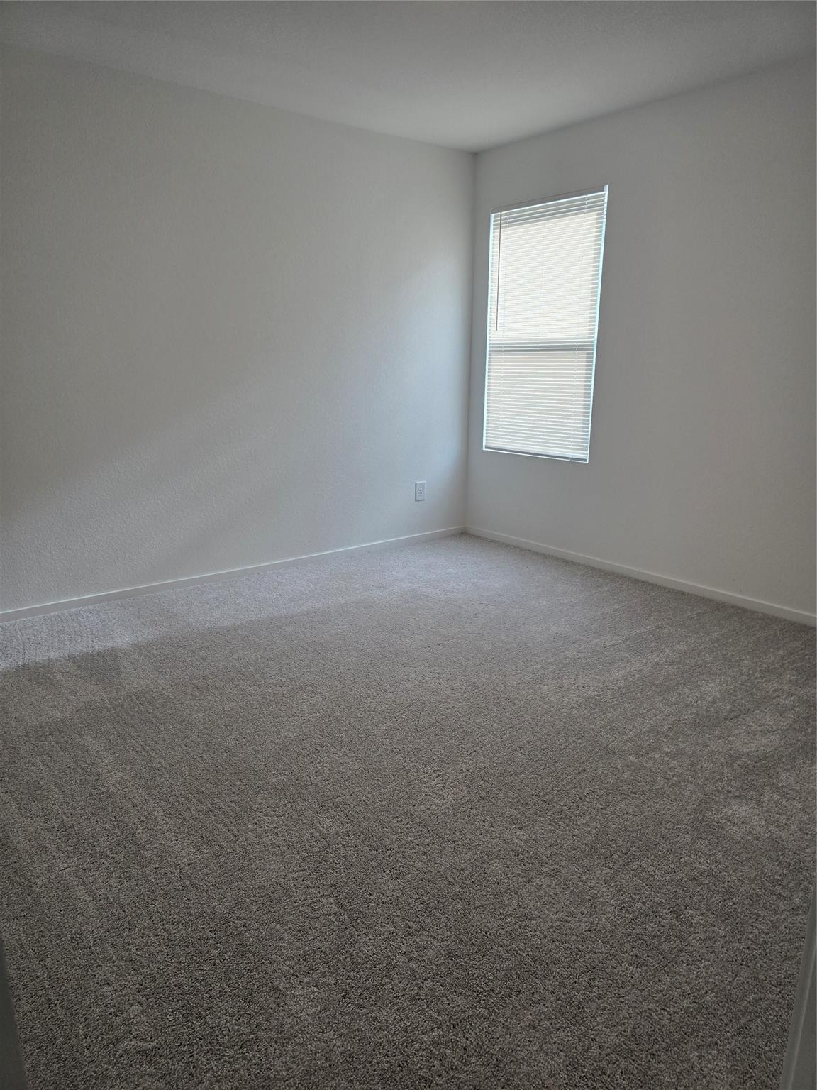 25560 Blossom Court Property Photo 17