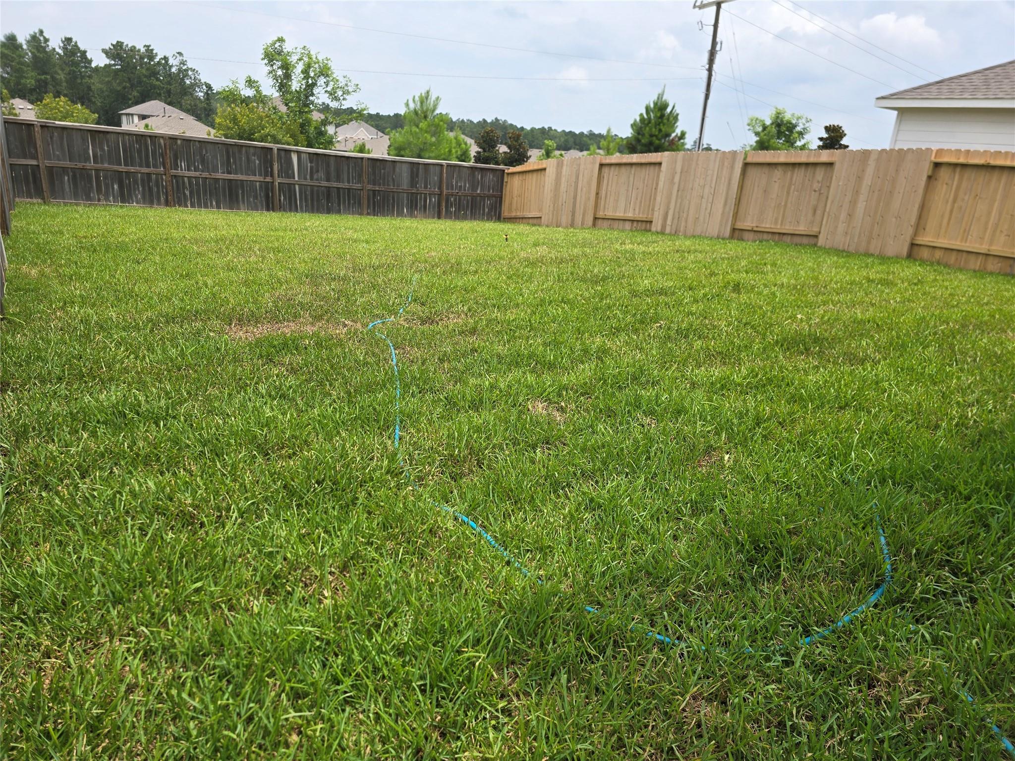 25560 Blossom Court Property Photo 22